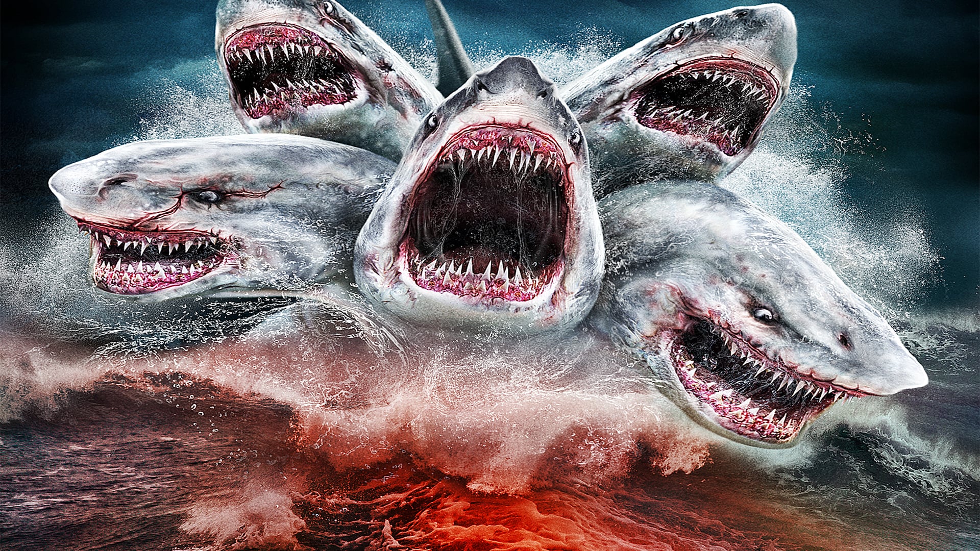 Sharknado Collection - 5 Headed Shark Attack Poster , HD Wallpaper & Backgrounds