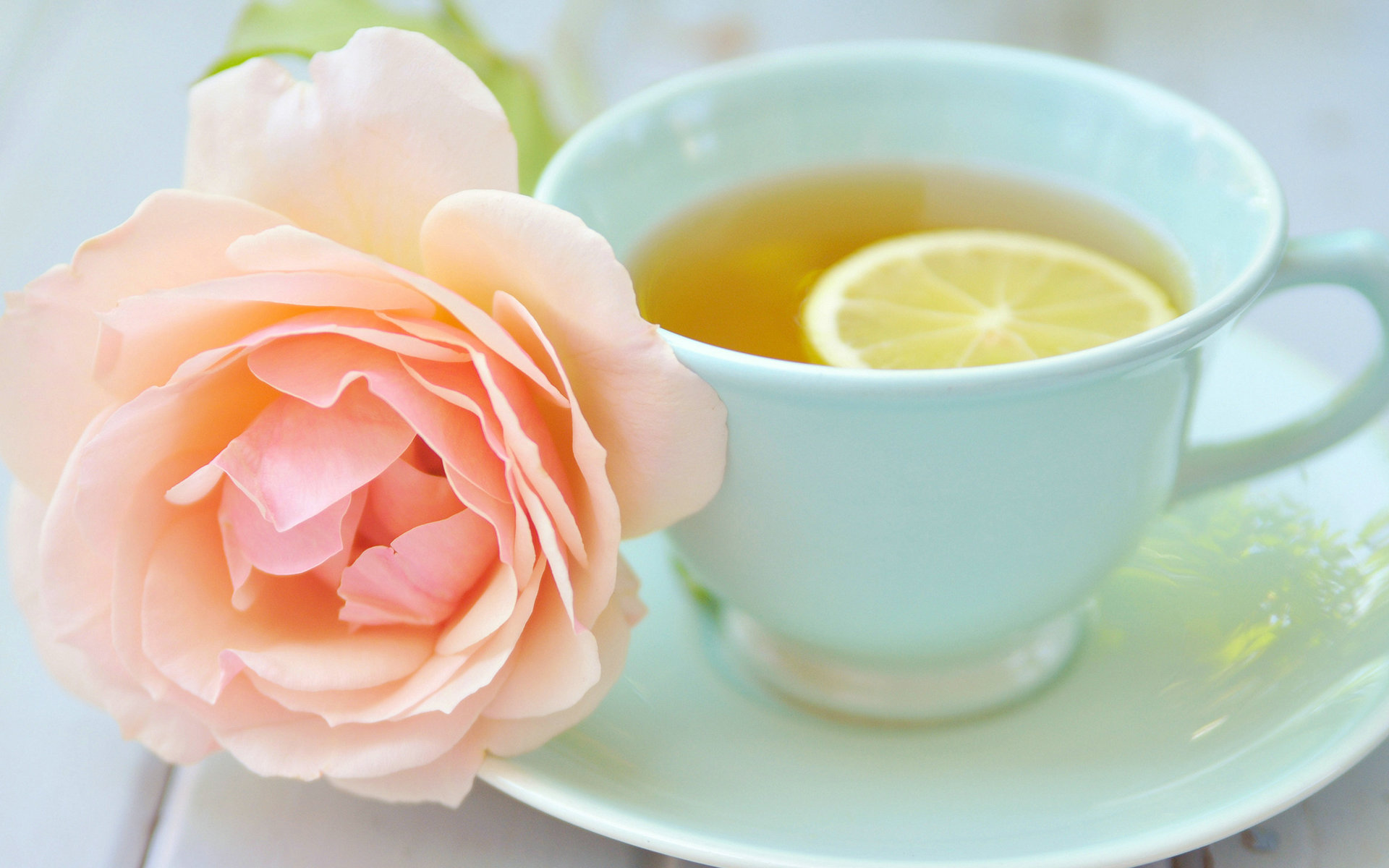 Tea Rose, L-323059565 - Good Morning Friday Gif , HD Wallpaper & Backgrounds