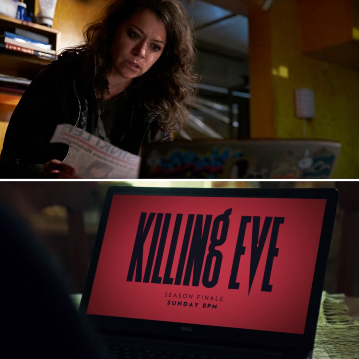 51 Replies 427 Retweets 3,313 Likes - Orphan Black Mk Laptop , HD Wallpaper & Backgrounds