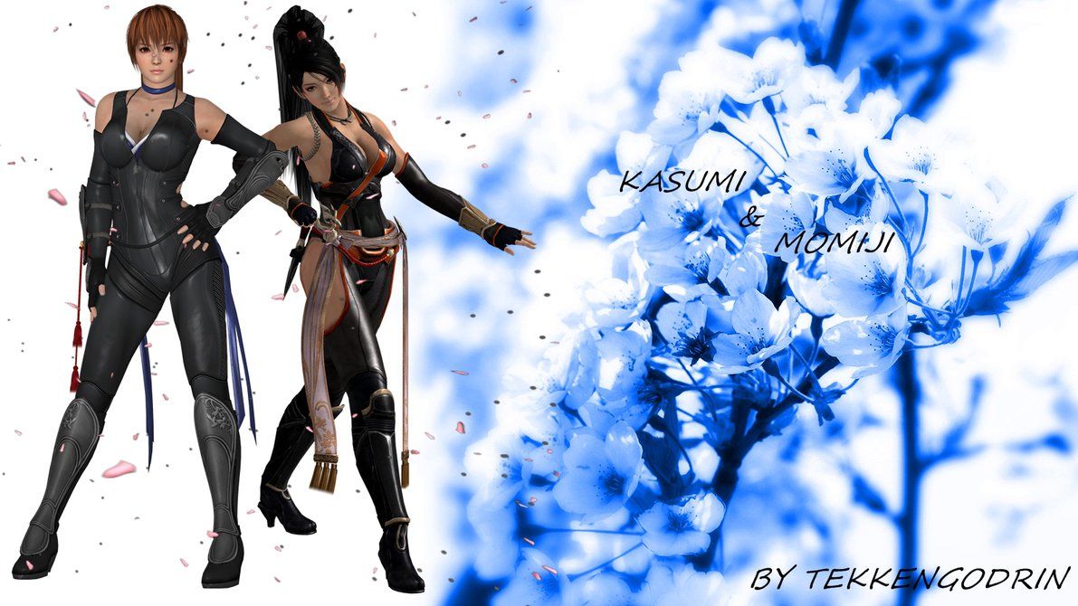 Dead Or Alive 5 Kasumi And Momiji Wallpaper By Tekkengodrin - Sakura Flower , HD Wallpaper & Backgrounds