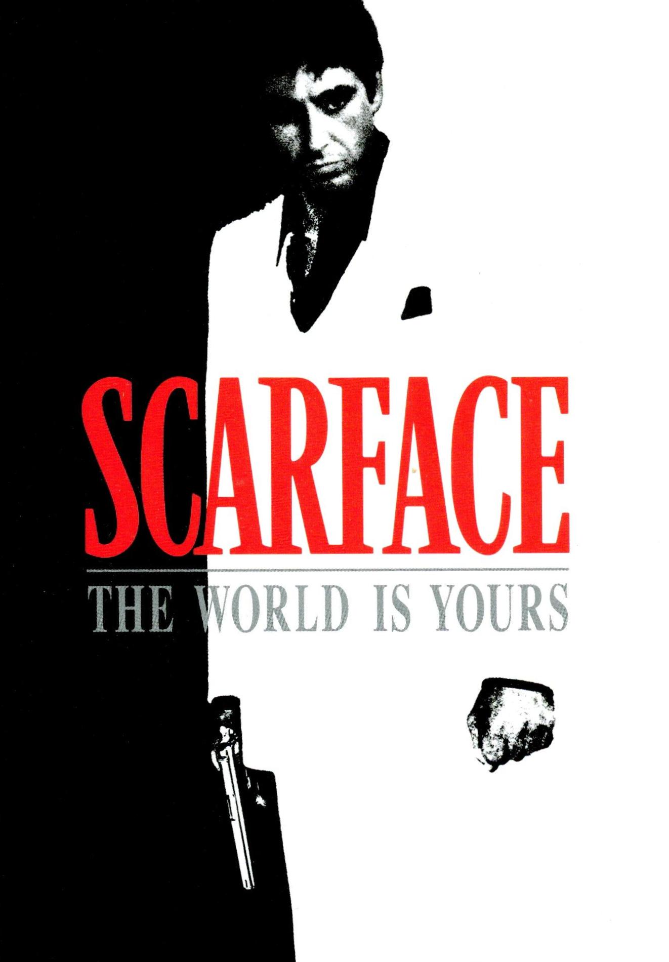 Central Wallpaper - Scarface The World Is Yours Art , HD Wallpaper & Backgrounds