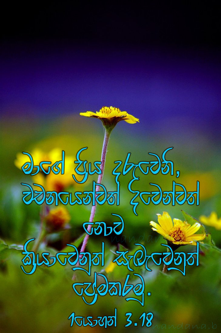 Sinhala - Bible Words Sinhala , HD Wallpaper & Backgrounds