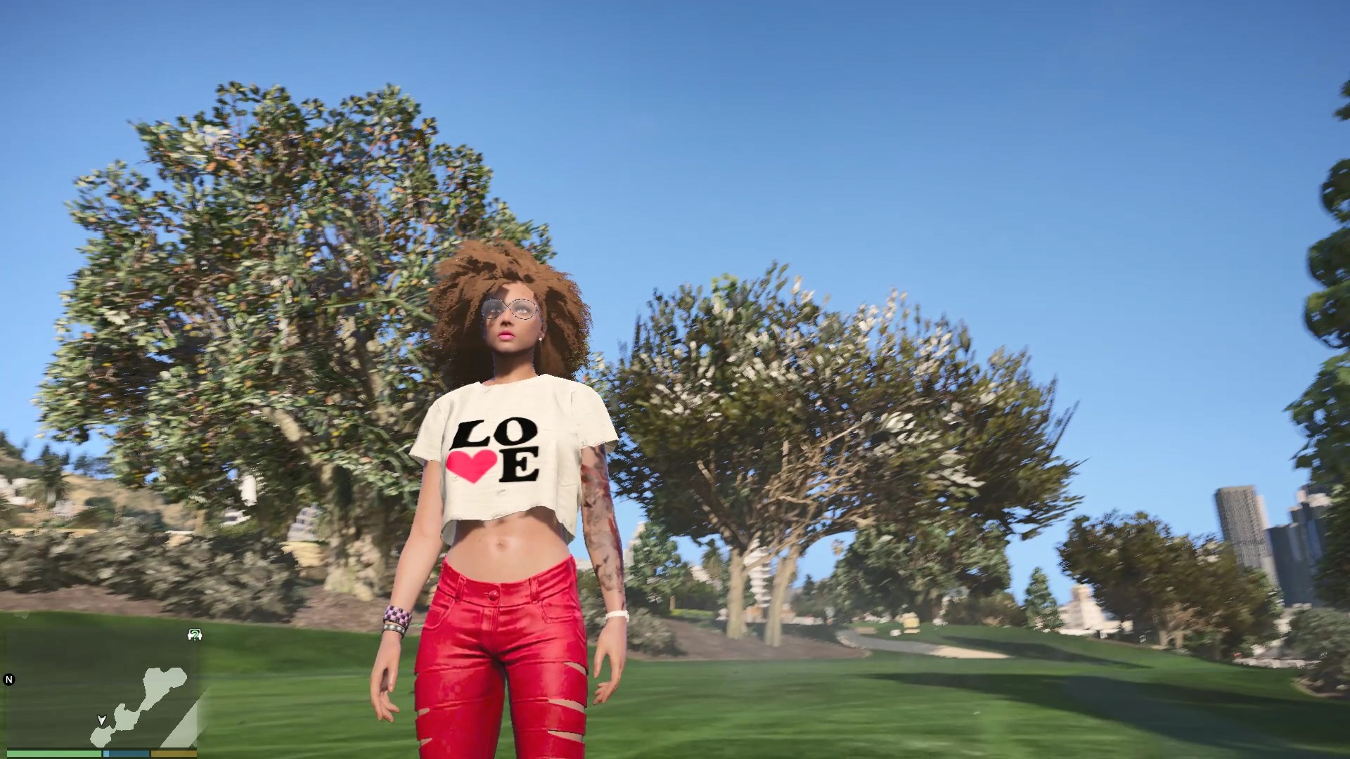 250d50 Grand Theft Auto V - Girl , HD Wallpaper & Backgrounds