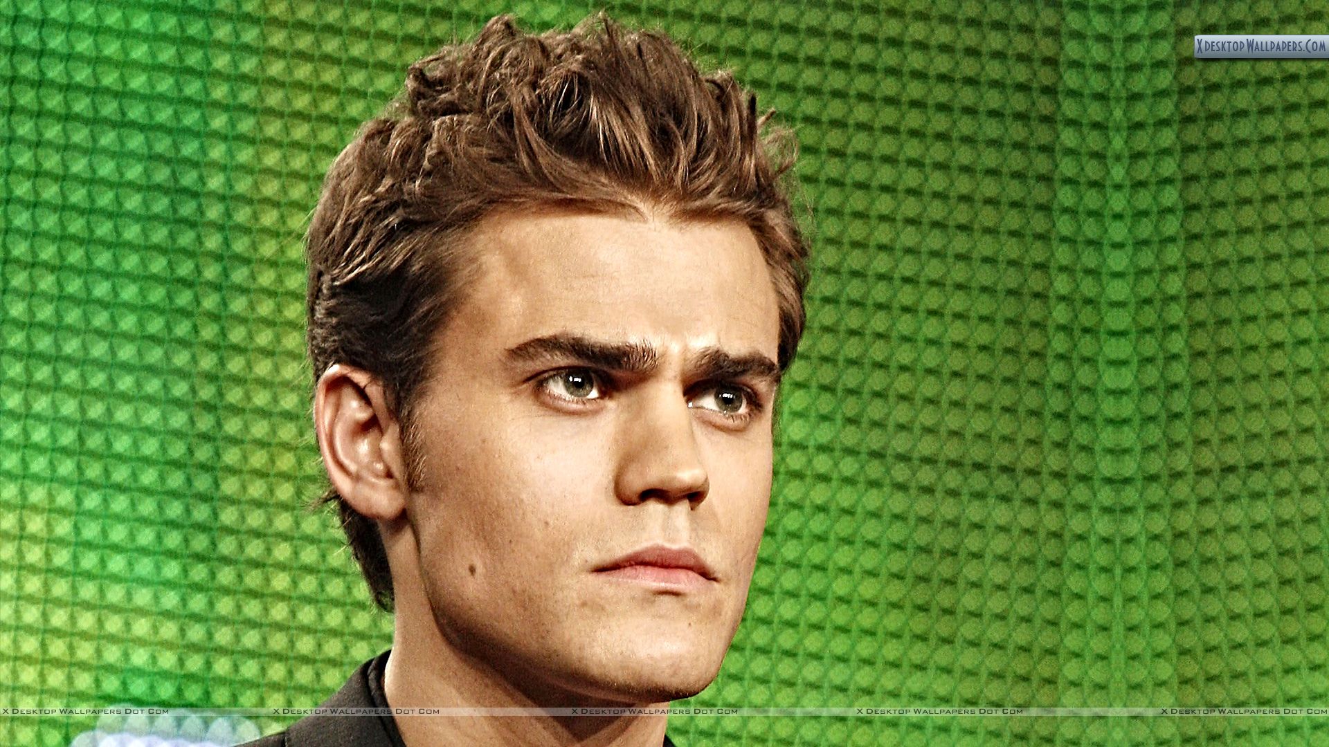 You Are Viewing Wallpaper Titled Paul Wesley - Paul Wesley Laughing Hd , HD Wallpaper & Backgrounds