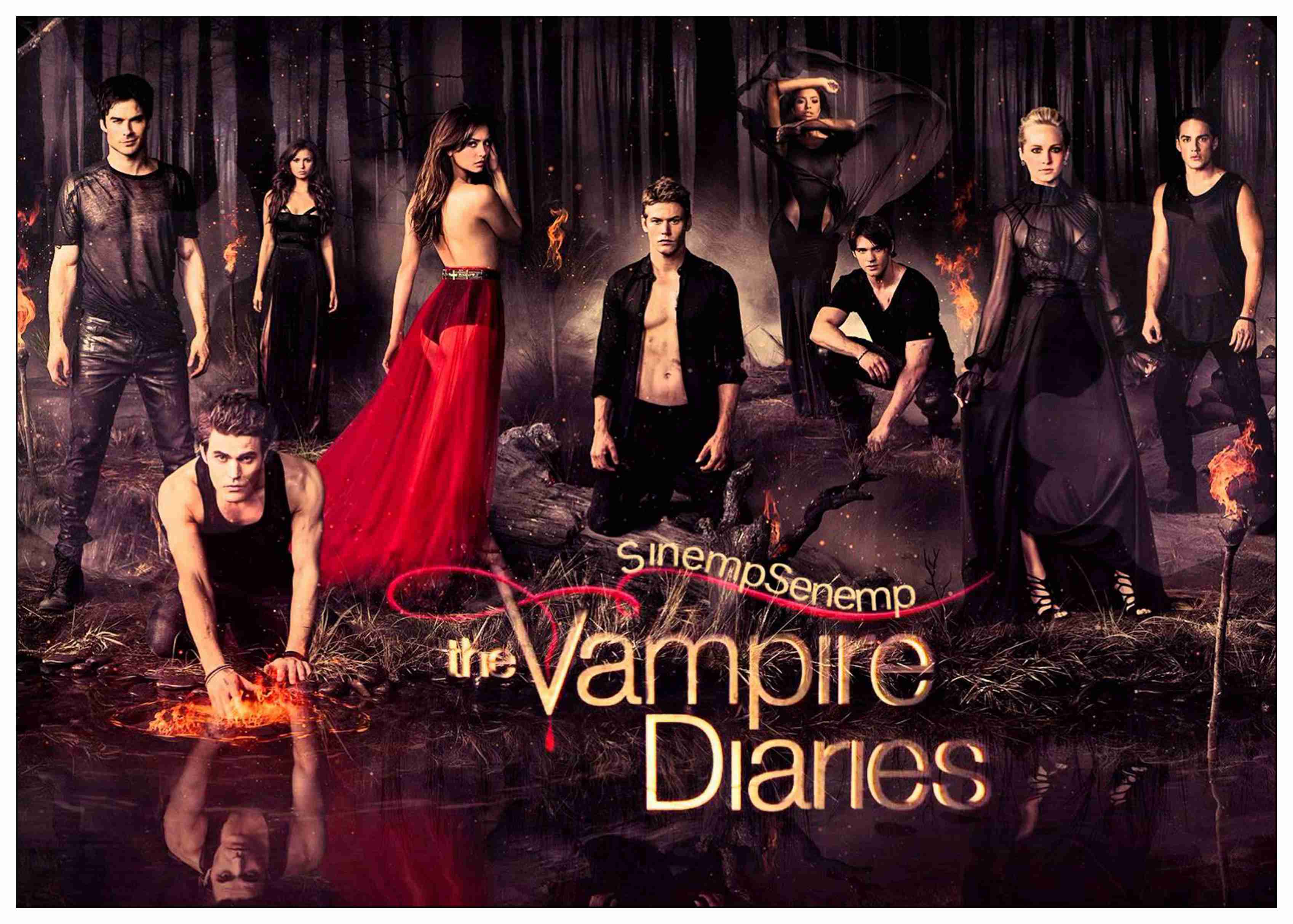 The Vampire Diaries Paul Wesley,nina Dobrev Posters - Vampire Diaries Season 5 , HD Wallpaper & Backgrounds