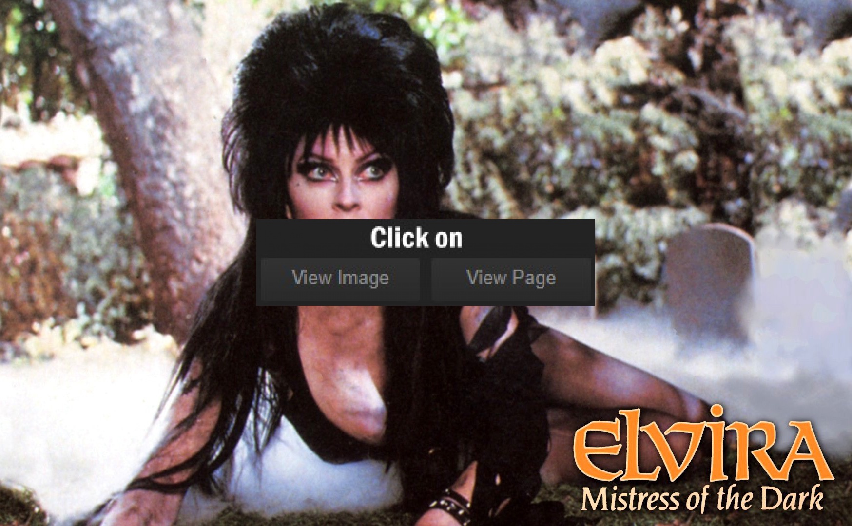 Wallpaper Elvira Mistress Of The Dark 569997 - Elvira: Mistress Of The Dark , HD Wallpaper & Backgrounds