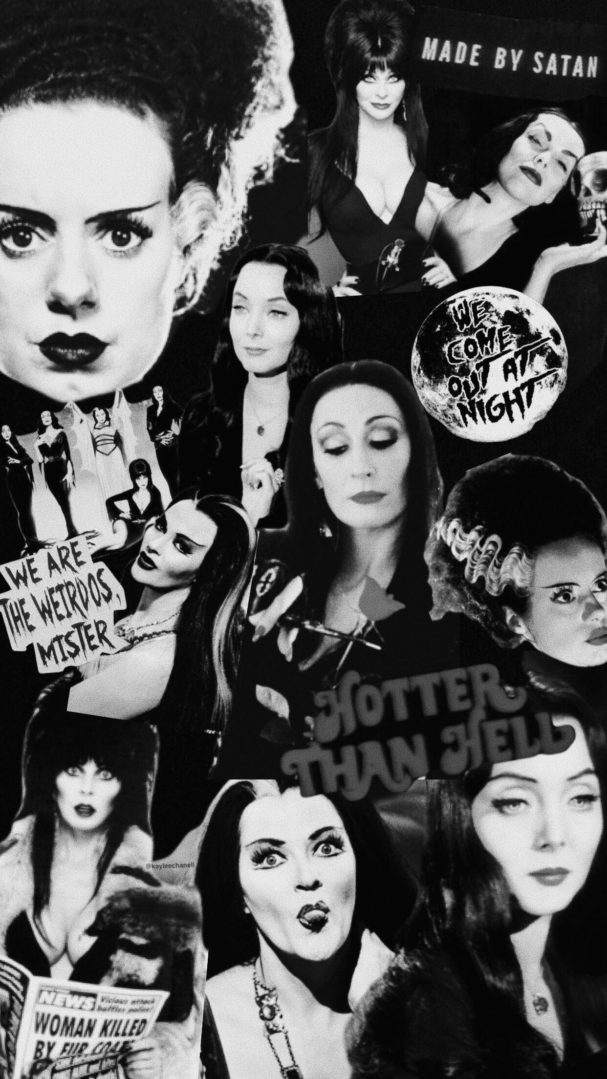 Elvira, Vampira, Lily Munster, Morticia Addams, And - Bride Of Frankenstein , HD Wallpaper & Backgrounds