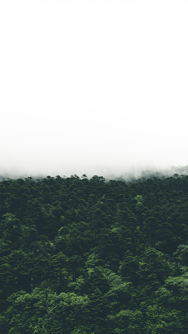 Iphone Xs Wallpapers By Preppywallpapers Tree 150913