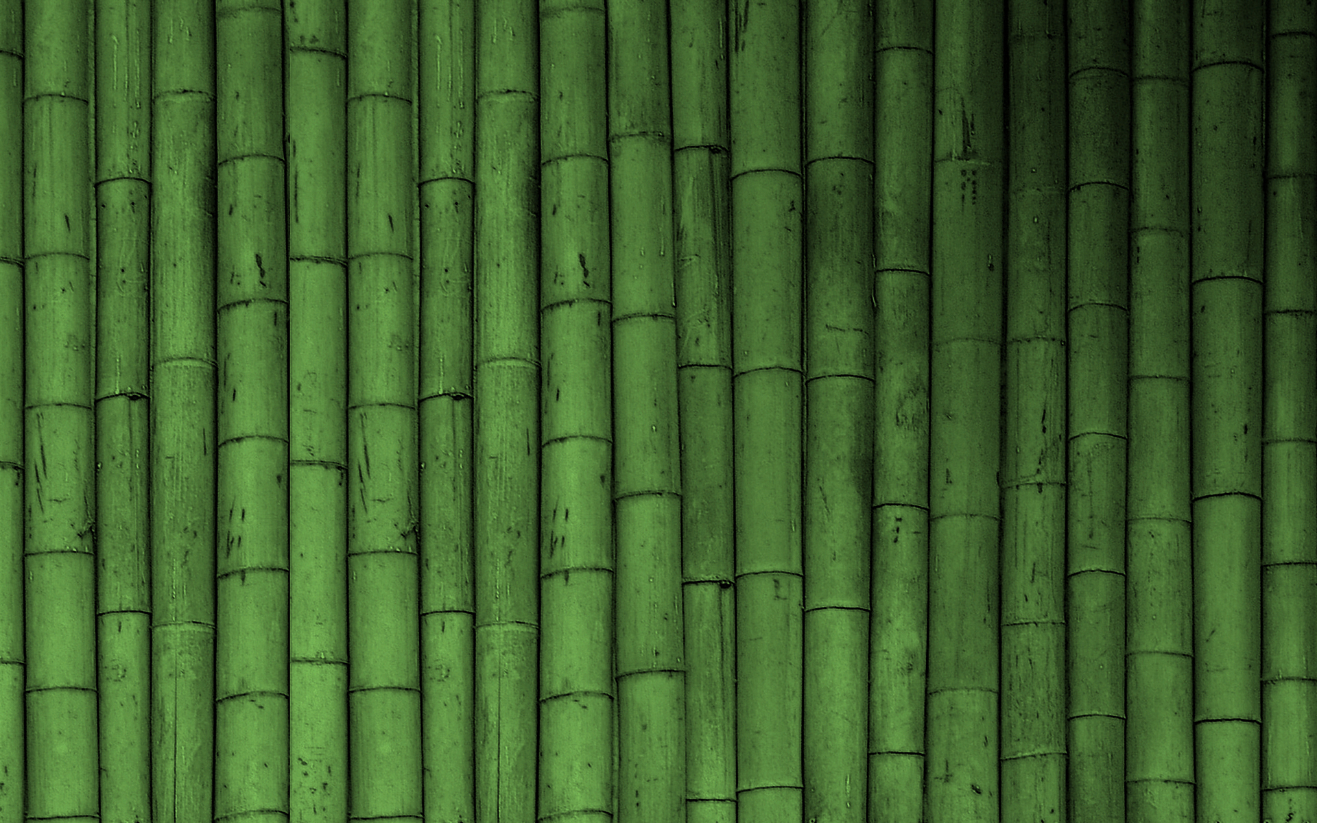 Hd Green Wallpapers - Bamboo Wallpaper Green , HD Wallpaper & Backgrounds