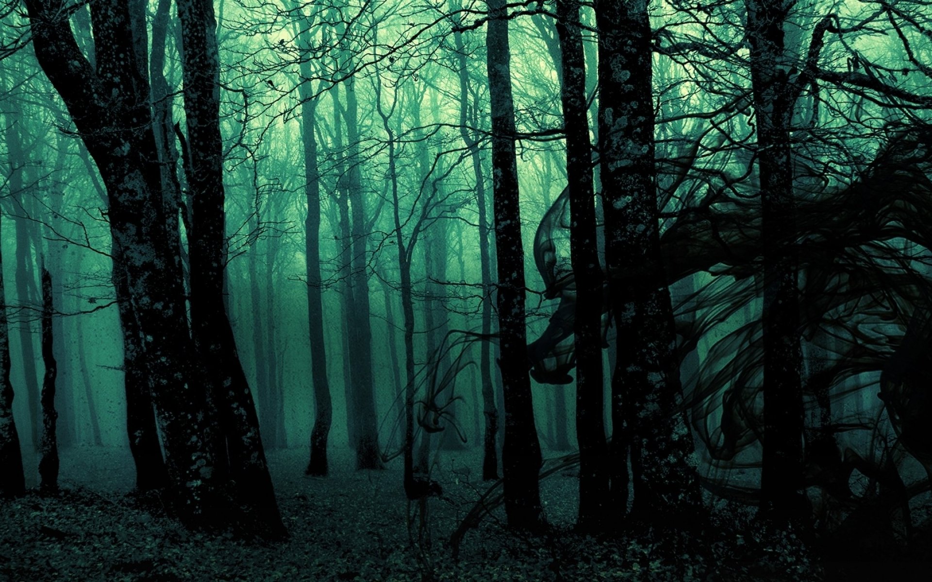 23 Forest Hd Wallpapers - Dark Forest Tumblr Background , HD Wallpaper & Backgrounds