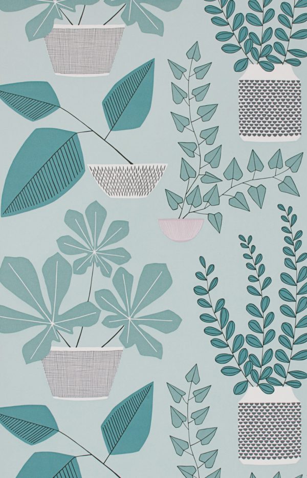 House Plants Marina Blue Wallpaper - Missprint Wallpaper Houseplants , HD Wallpaper & Backgrounds