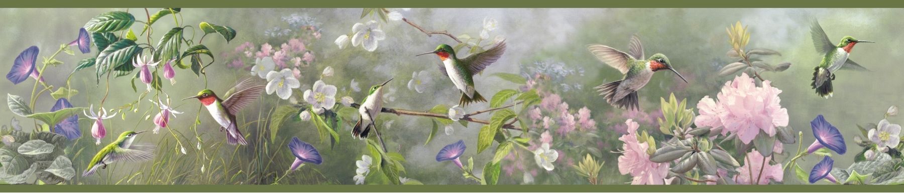 Hummingbird Border , HD Wallpaper & Backgrounds