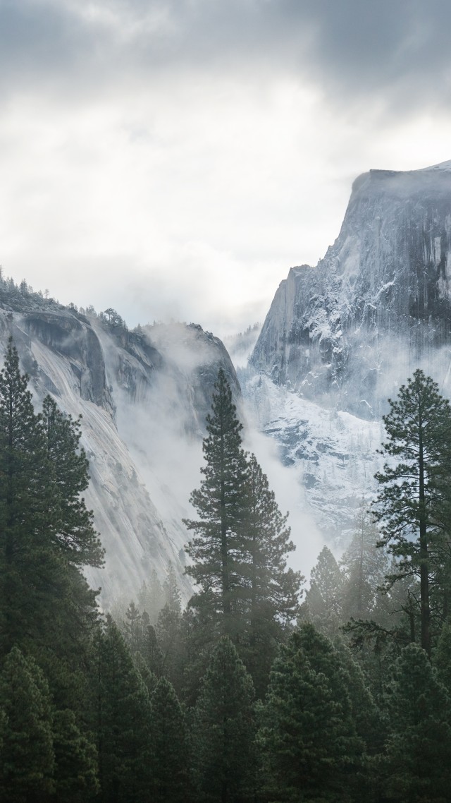 Wallpaper Yosemite, 5k, 4k Wallpaper, 8k, Forest, Osx, - Mountains Wallpaper Iphone 7 Plus , HD Wallpaper & Backgrounds