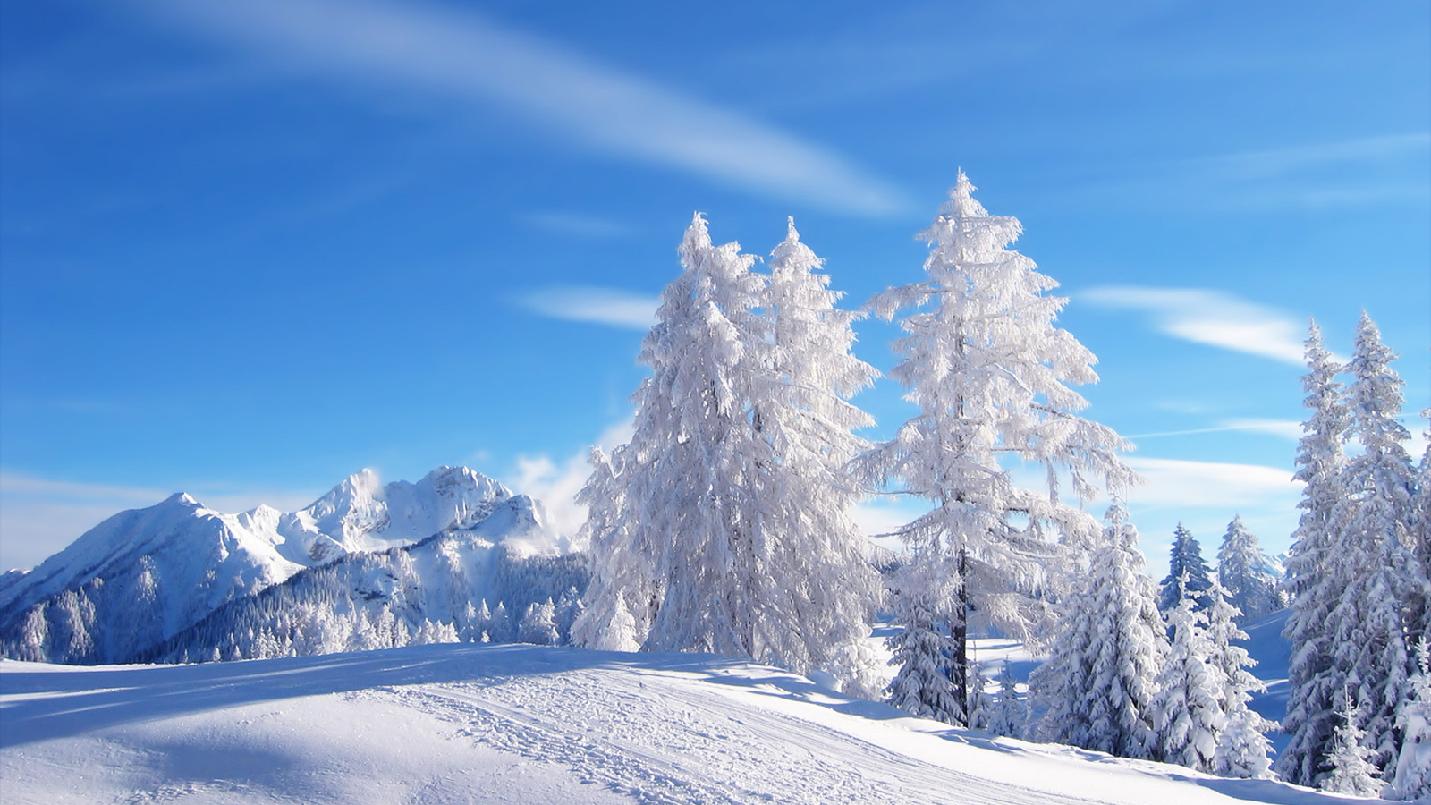 Winter Snow Desktop Wallpaper Hd 154346 Hd Wallpaper