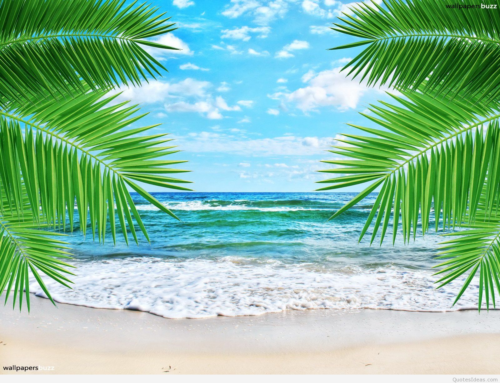 Summer Background Hd , HD Wallpaper & Backgrounds