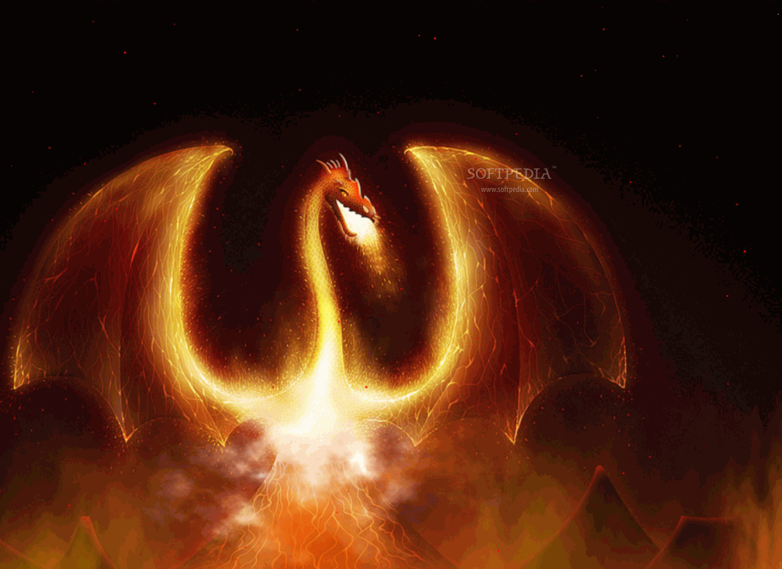 Fire Dragon Animated Wallpaper - Animated Fire Dragon , HD Wallpaper & Backgrounds