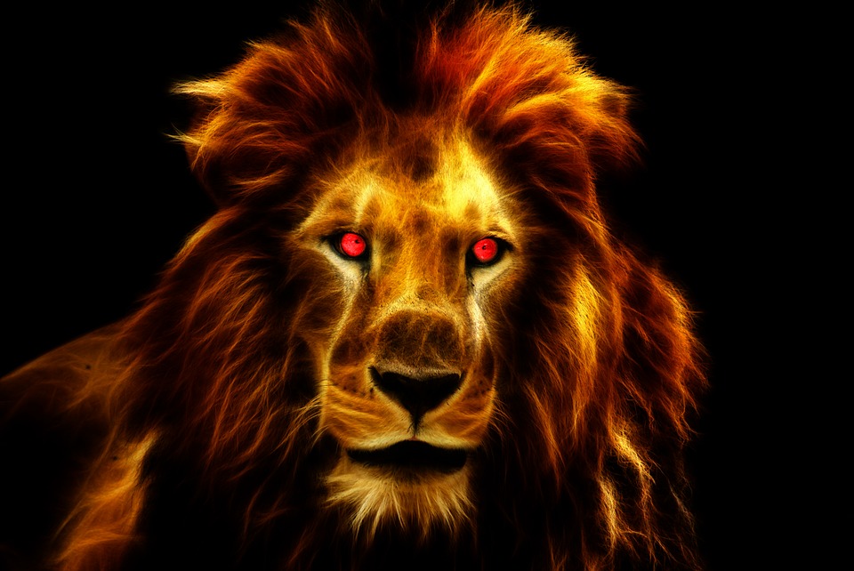 Lion Wallpaper - Lion Wallpaper Hd Black , HD Wallpaper & Backgrounds