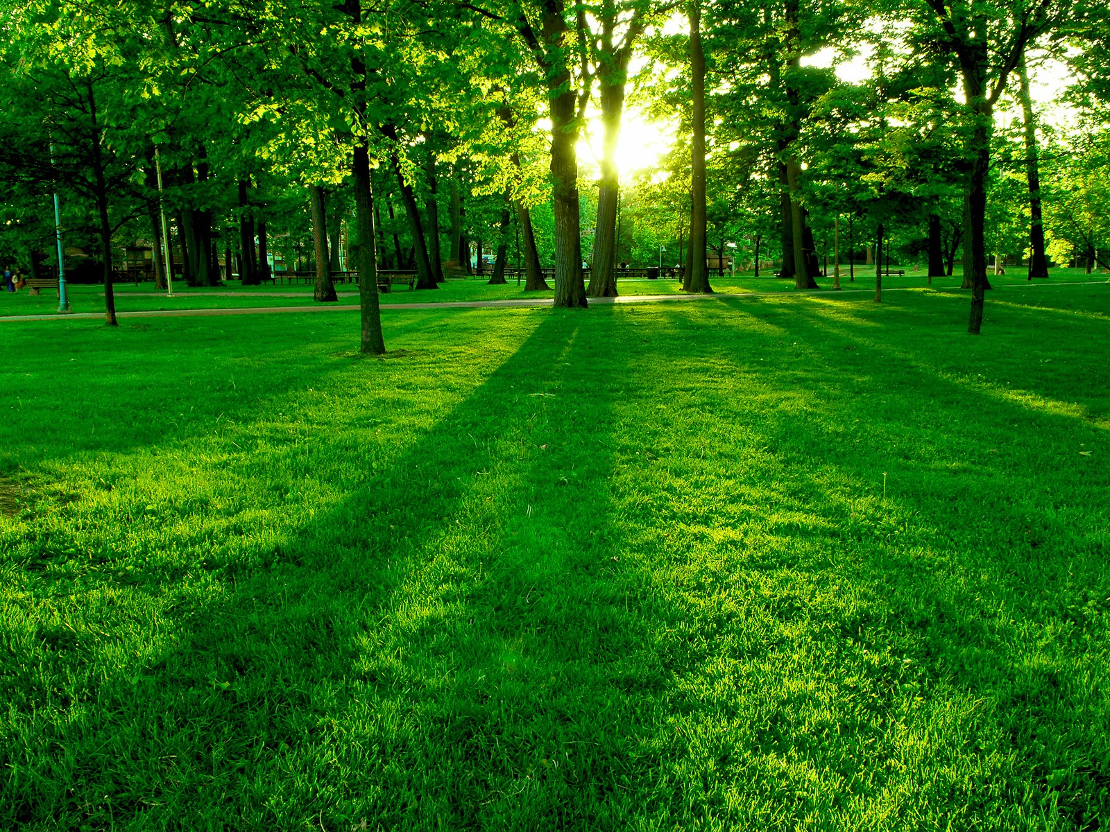 Green Park Wallpaper Landscape Nature Wallpapers - Best Background In Full Hd , HD Wallpaper & Backgrounds