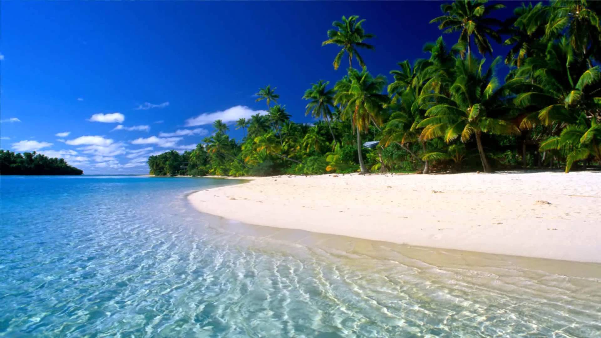 Lonely Beach Animated Wallpaper Http - Tropical Beach , HD Wallpaper & Backgrounds