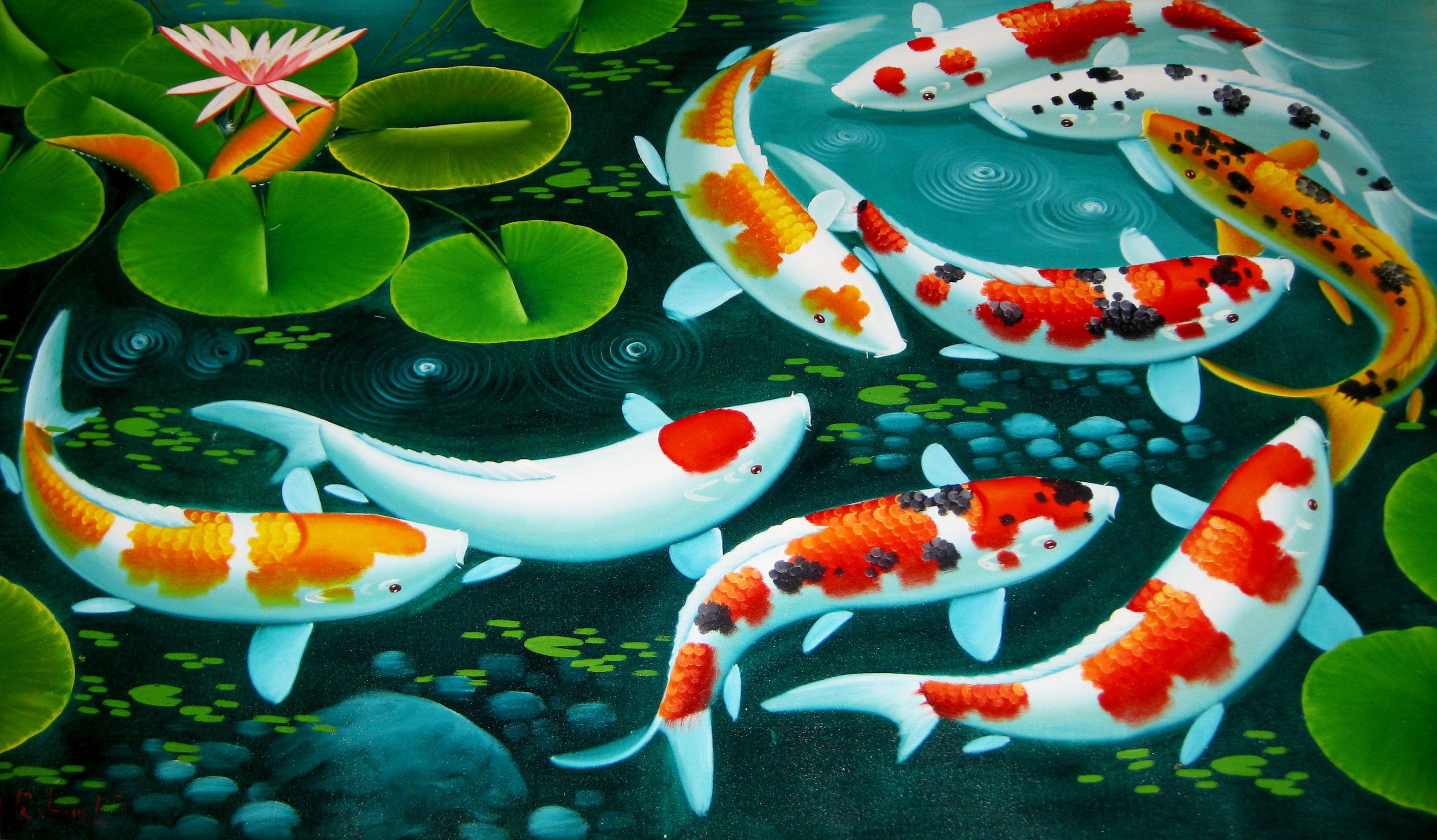64 Best Free Koi Desktop Wallpapers - Koi Fish Pond Background , HD Wallpaper & Backgrounds