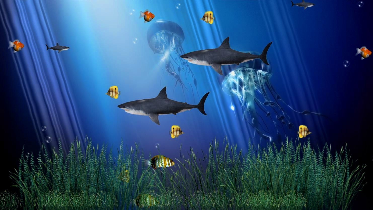 Free Live Animated Wallpapers For Pc - Moving Fish Wallpaper Windows 7 , HD Wallpaper & Backgrounds