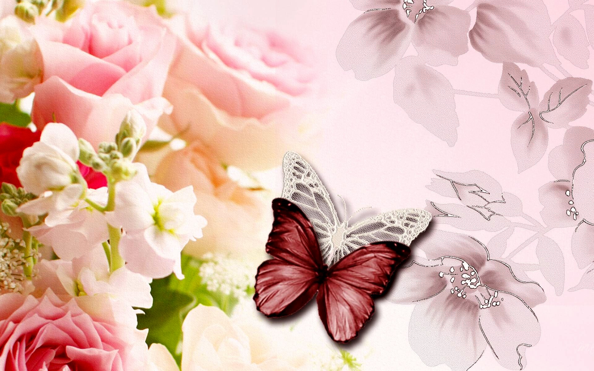 Pretty Butterfly Desktop Backgrounds - Best Wallpaper Of Butterfly , HD Wallpaper & Backgrounds