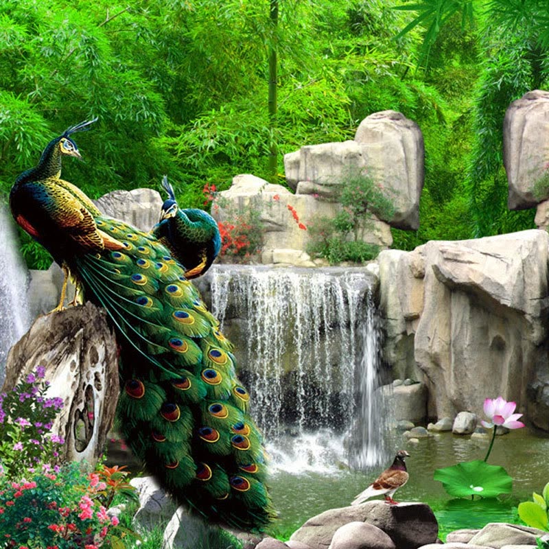 3d Wall Mural Natural Scenery Wallpaper Landscape Bamboo - Peacock In The Forest , HD Wallpaper & Backgrounds