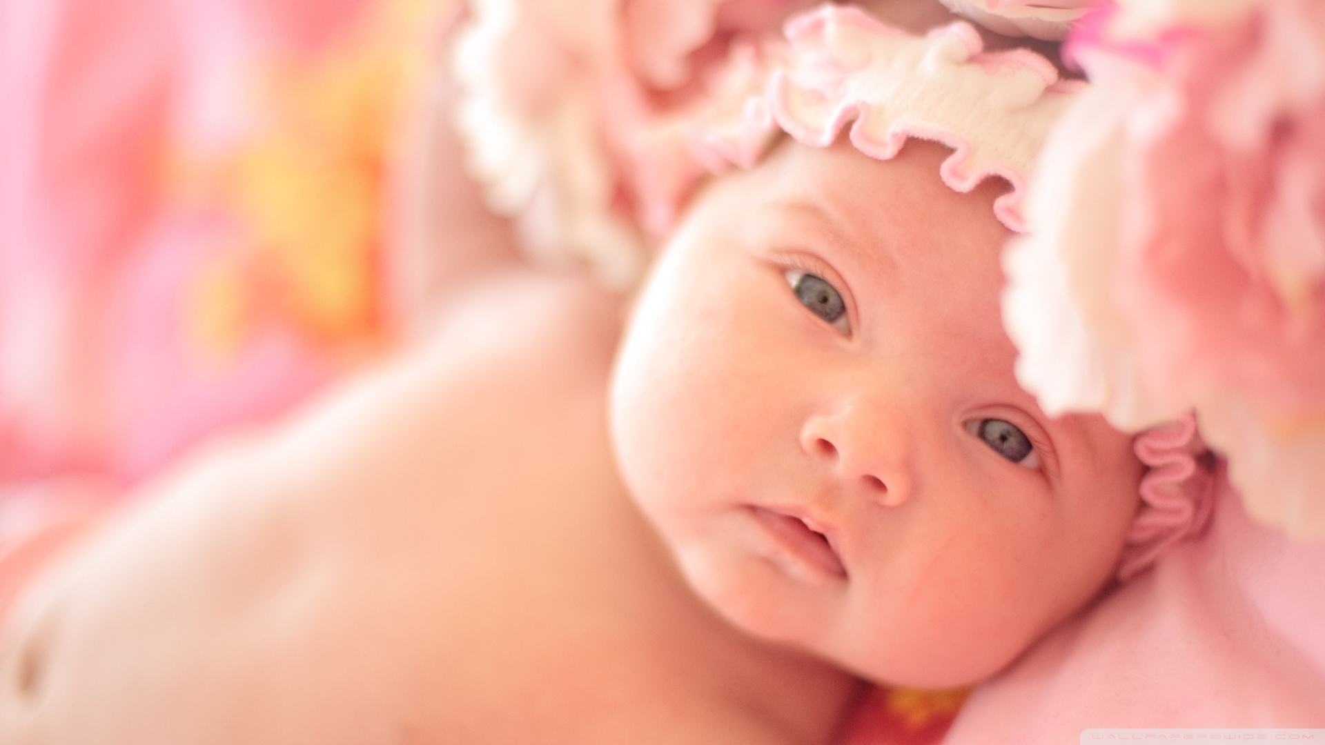 Cute Baby Wallpaper - New Born Baby Hd , HD Wallpaper & Backgrounds