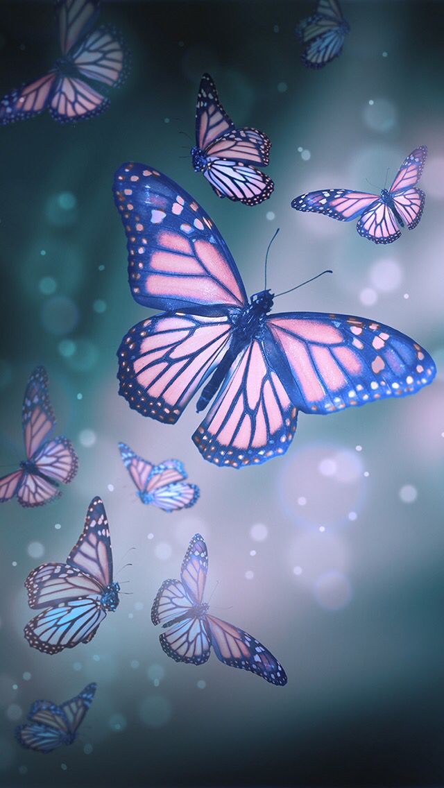 Butterfly Wallpaper More - Butterfly Wallpaper Hd Iphone , HD Wallpaper & Backgrounds