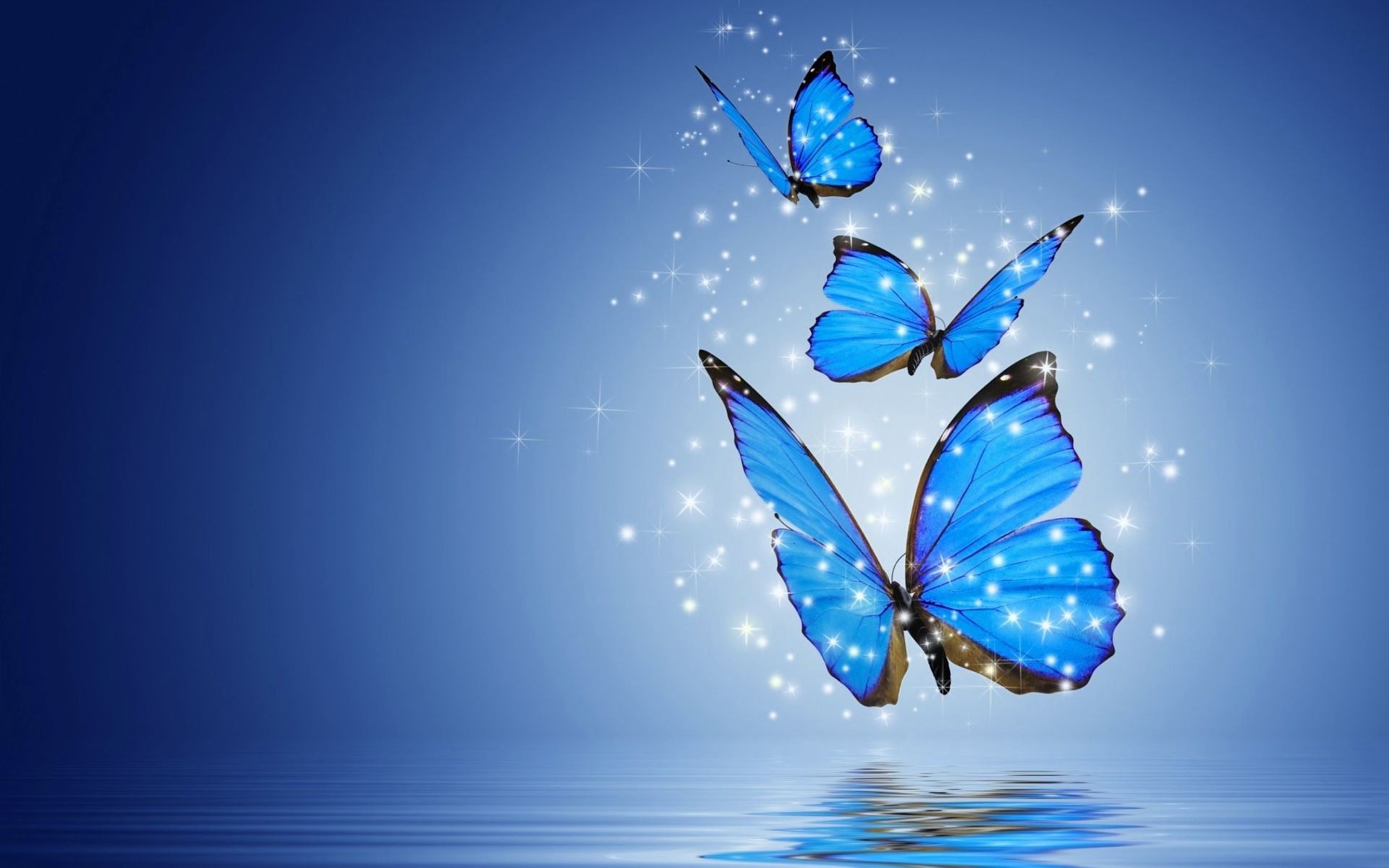 Butterfly Wallpaper - Blue Butterfly Images Hd , HD Wallpaper & Backgrounds