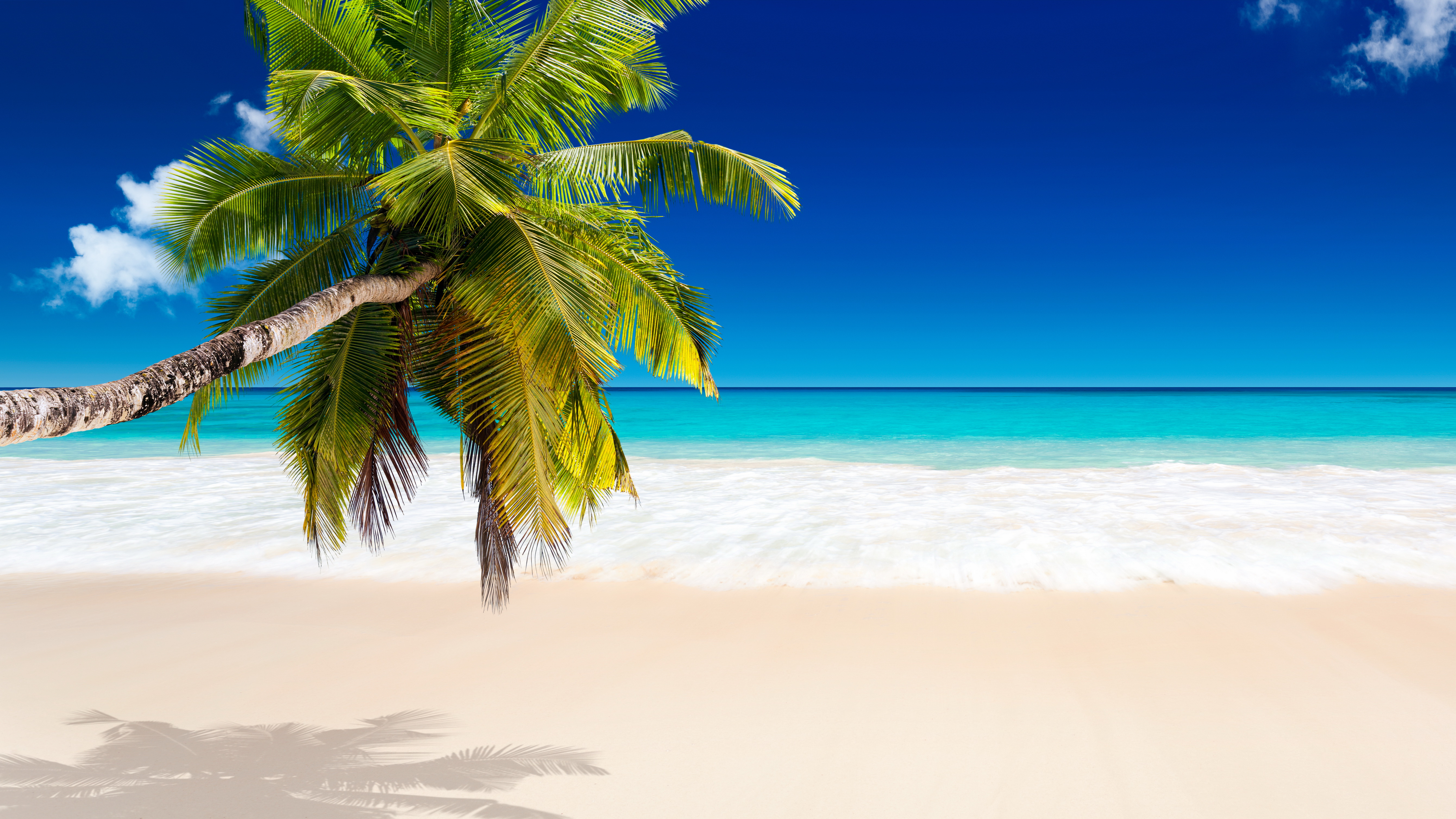 Tropical Beach Wallpaper - Tropical Beach Beach Desktop , HD Wallpaper & Backgrounds