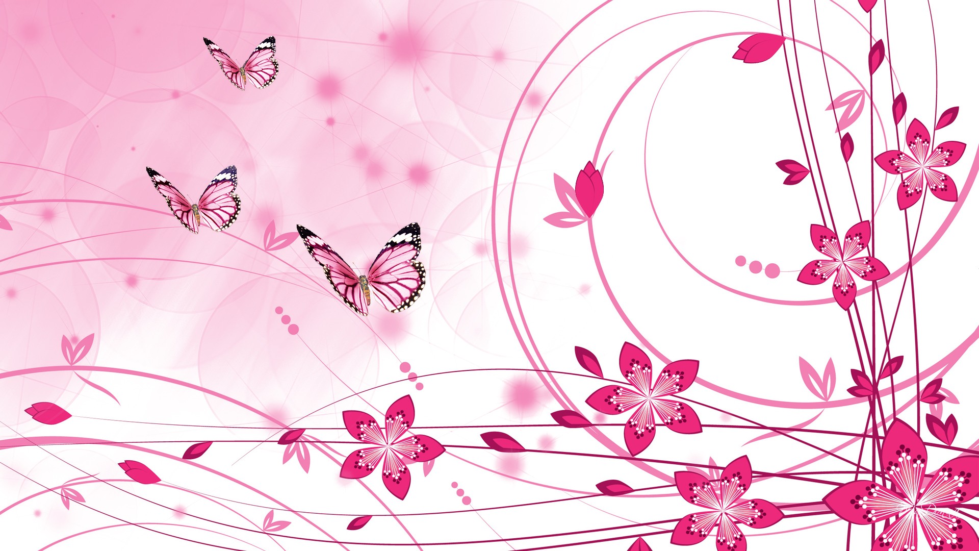 Beautiful Hd Pink Wallpaper For Desktop Wallpapermonkey Pink