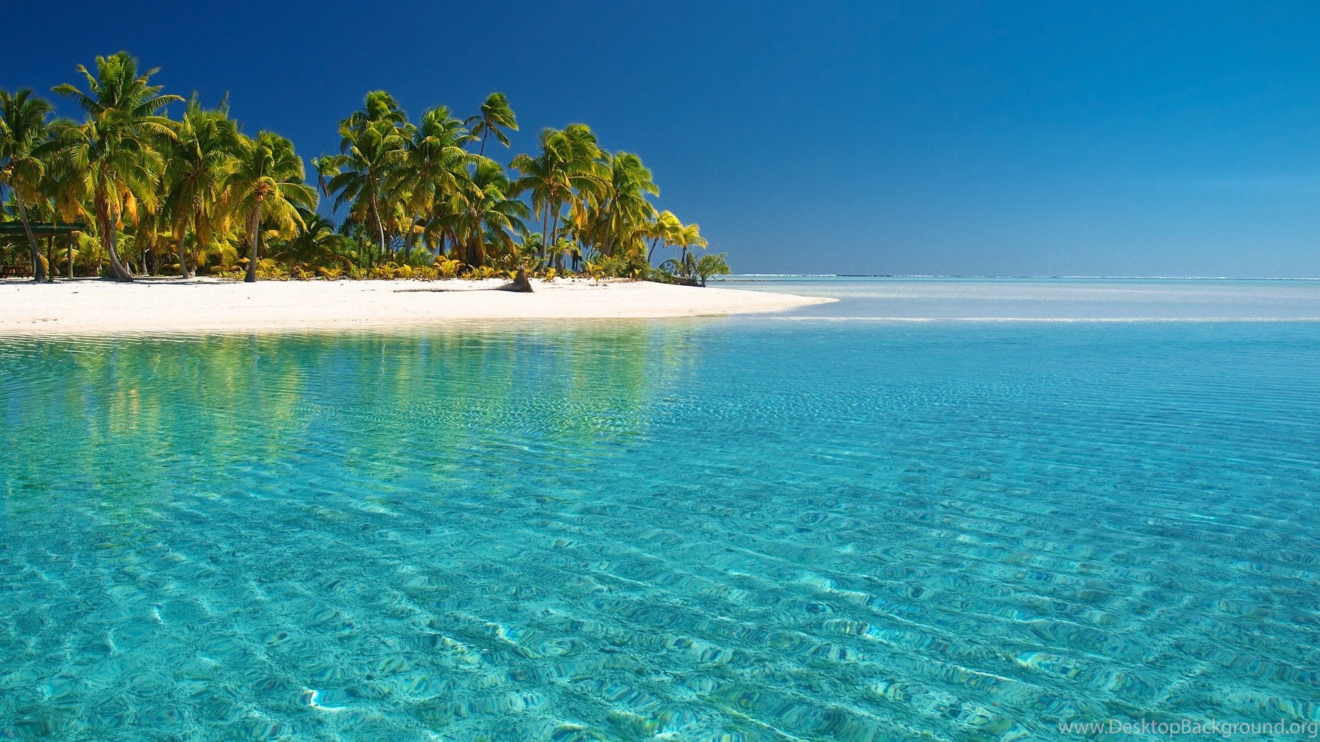 Tropical Beach Animated Wallpaper Http - Tropical Beach , HD Wallpaper & Backgrounds