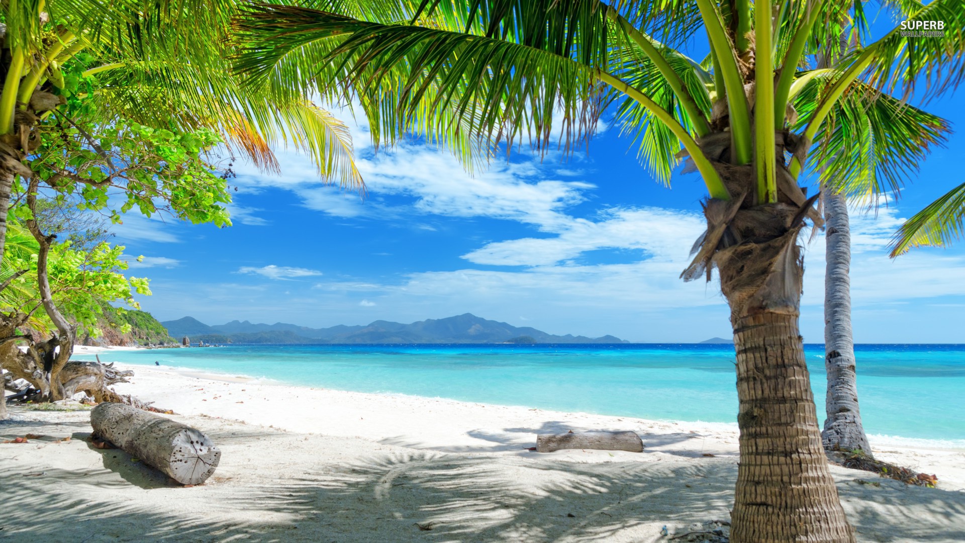 Beach Wallpaper For Computer - High Resolution Tropical Beach Background , HD Wallpaper & Backgrounds