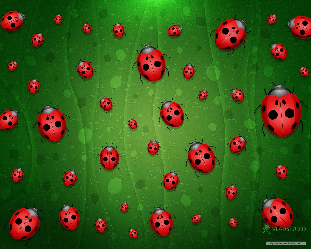 Free Art Wallpaper - Ladybugs , HD Wallpaper & Backgrounds