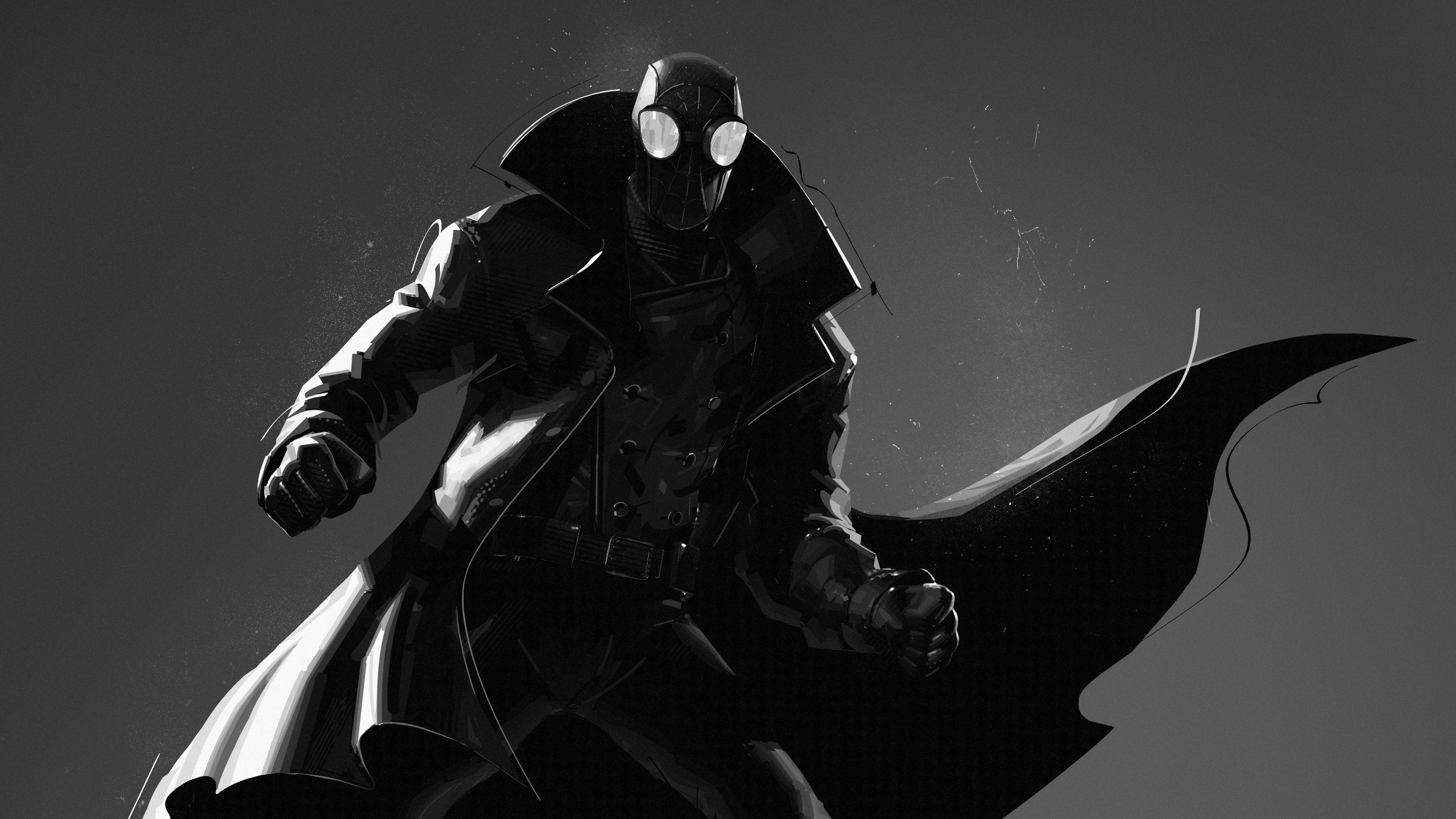 Published On January 24, 2019 - Spider Noir Into The Spider Verse , HD Wallpaper & Backgrounds