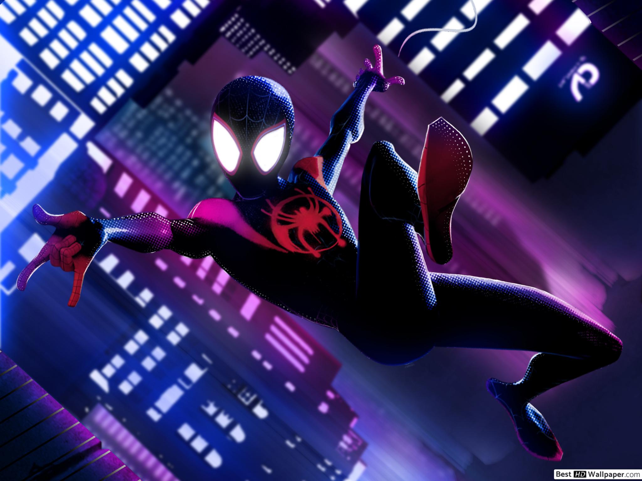 Standard - Spider Man Into The Spider Verse Hd , HD Wallpaper & Backgrounds