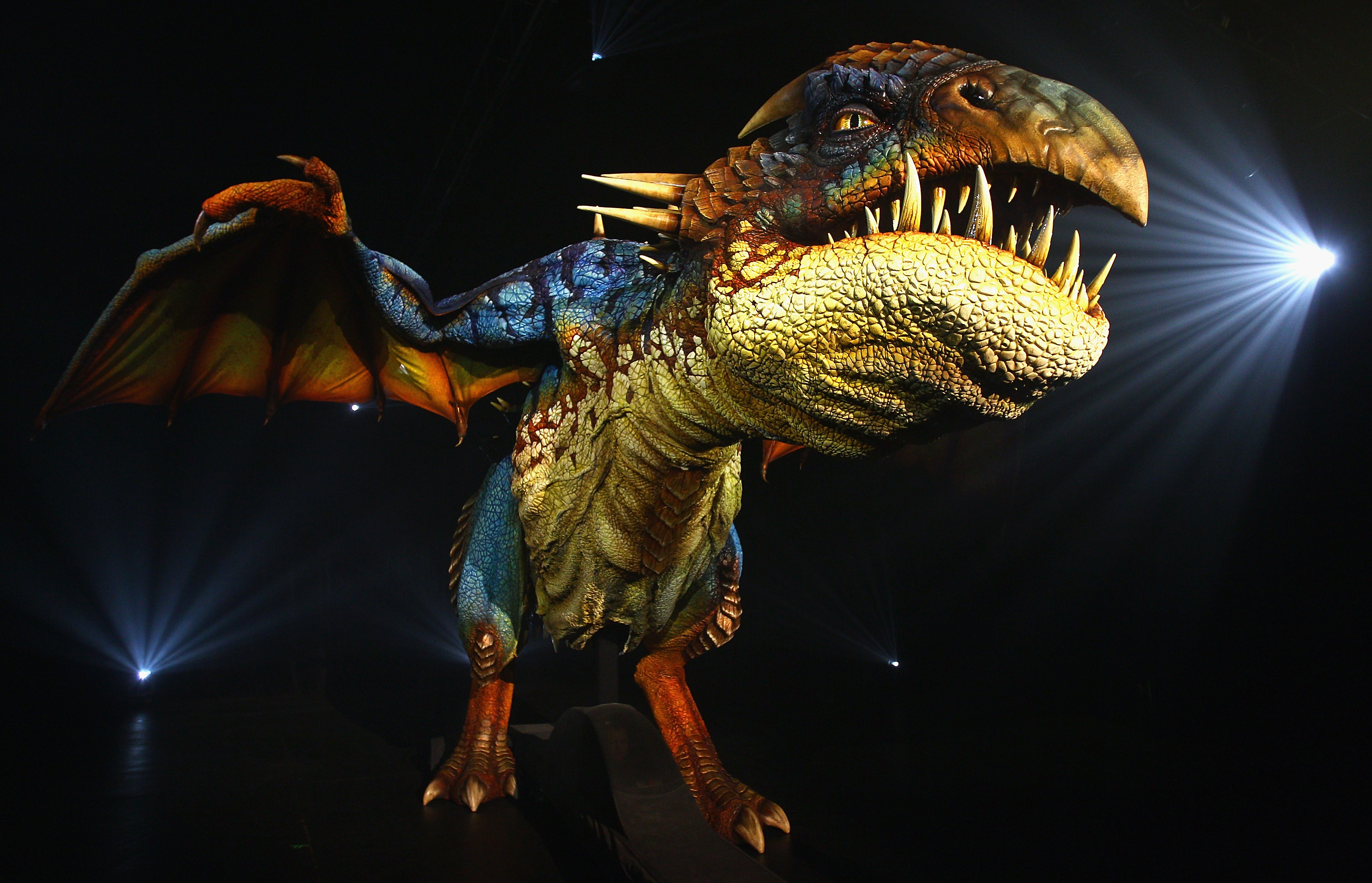 Deadly Nadder Dragon - Tyrannosaurus , HD Wallpaper & Backgrounds