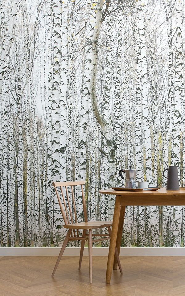 These Birch Tree Wallpaper Murals Are Perfect For Creating - Tree Wall Murals Uk , HD Wallpaper & Backgrounds
