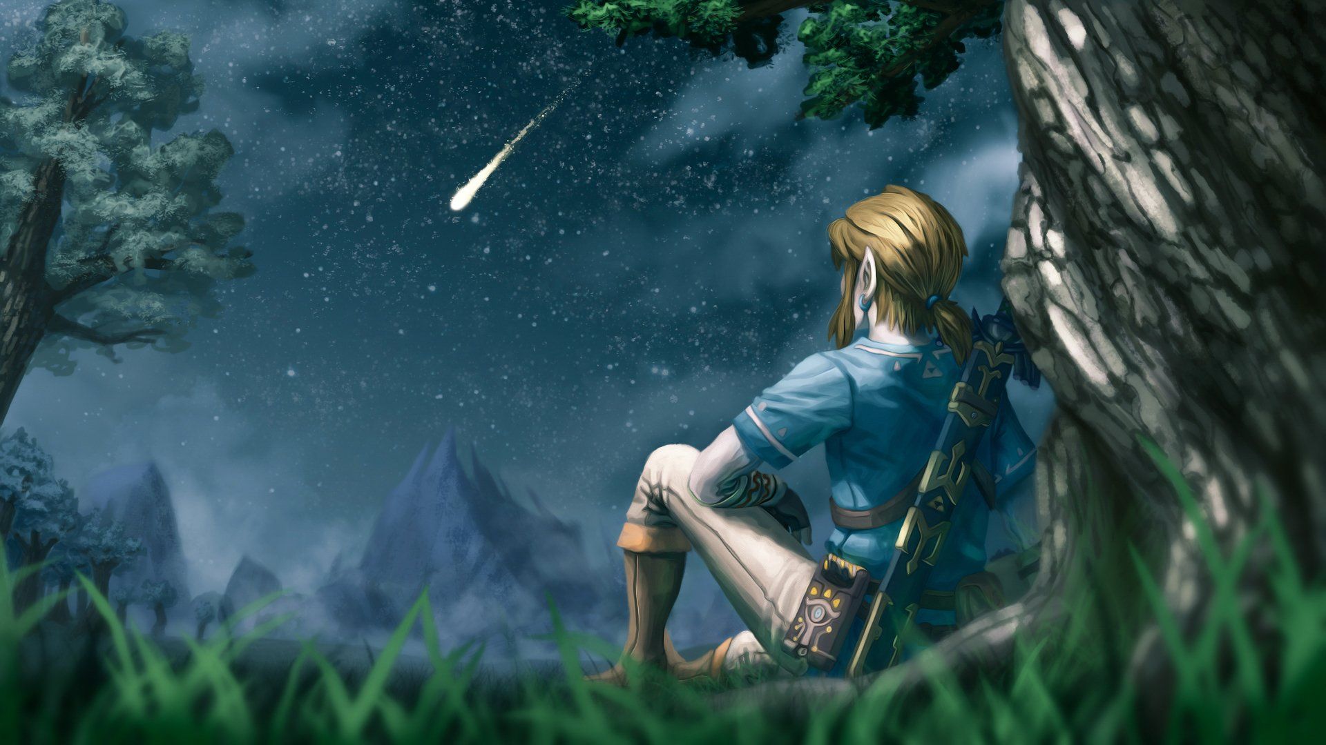 Video Game The Legend Of Zelda - Breath Of The Wild Link , HD Wallpaper & Backgrounds