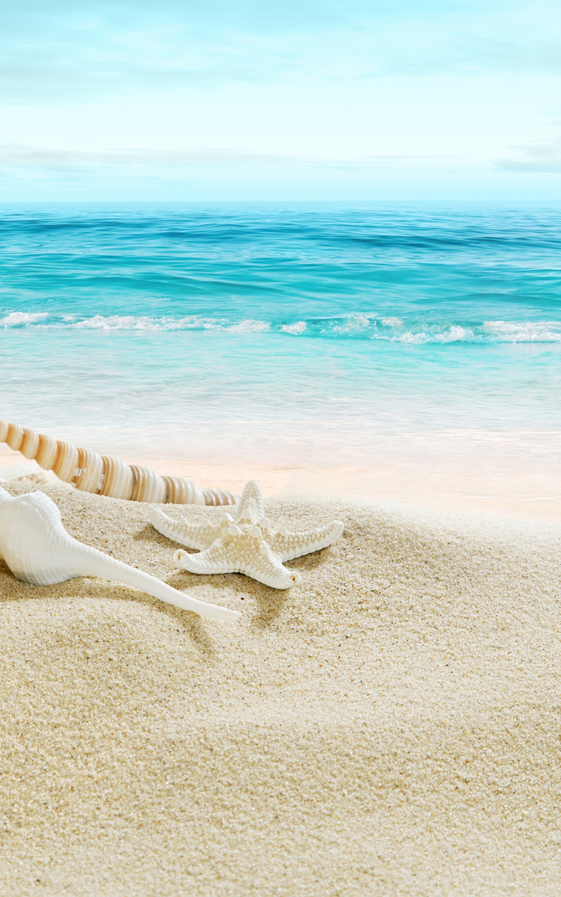 Wallpaper Horizon, Beach, Shell, Sand, Summer - Samsung S7 Edge Beach , HD Wallpaper & Backgrounds