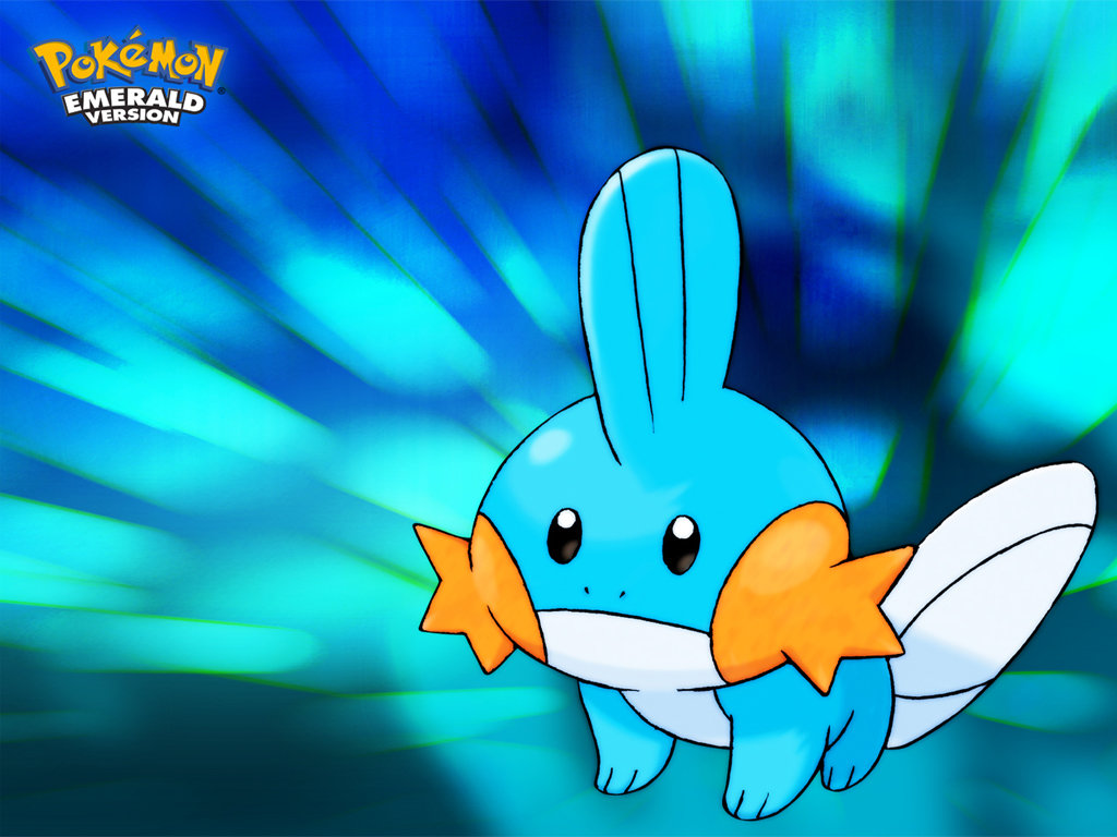 Best Mudkip Wallpaper Id - Example Of Impenetrability In Science , HD Wallpaper & Backgrounds