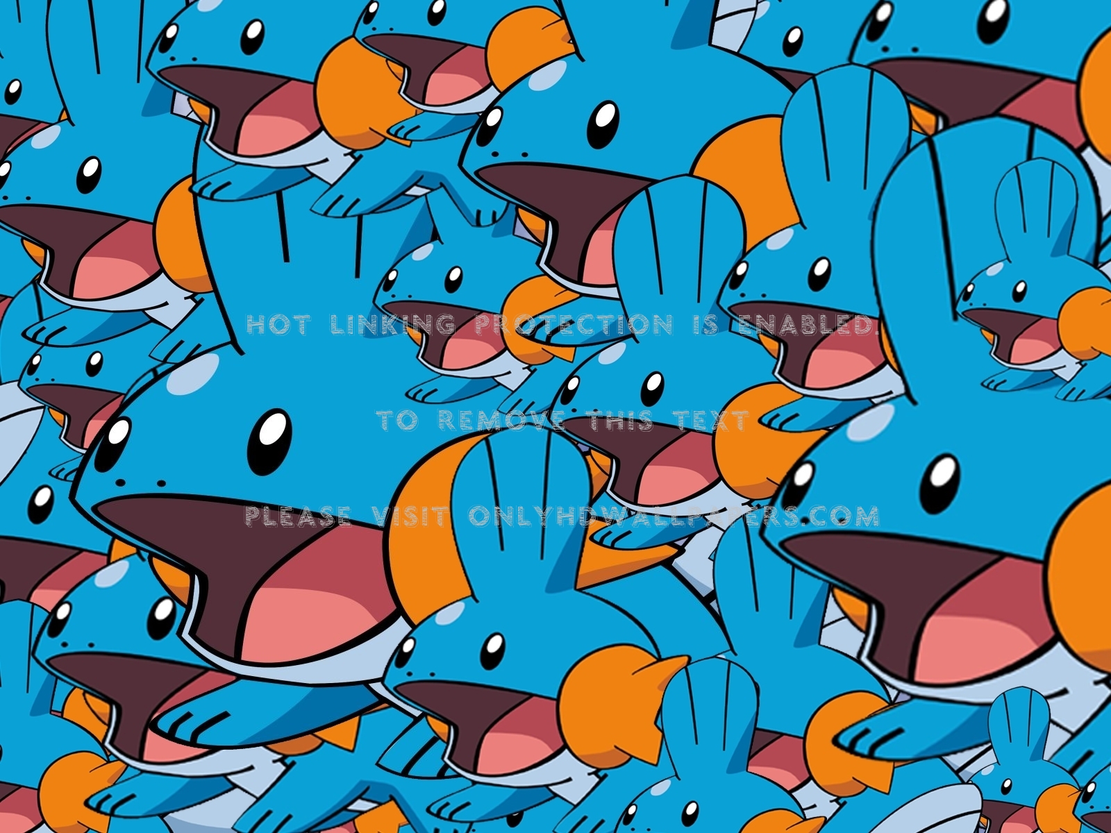 Pokemon Mudkip , HD Wallpaper & Backgrounds