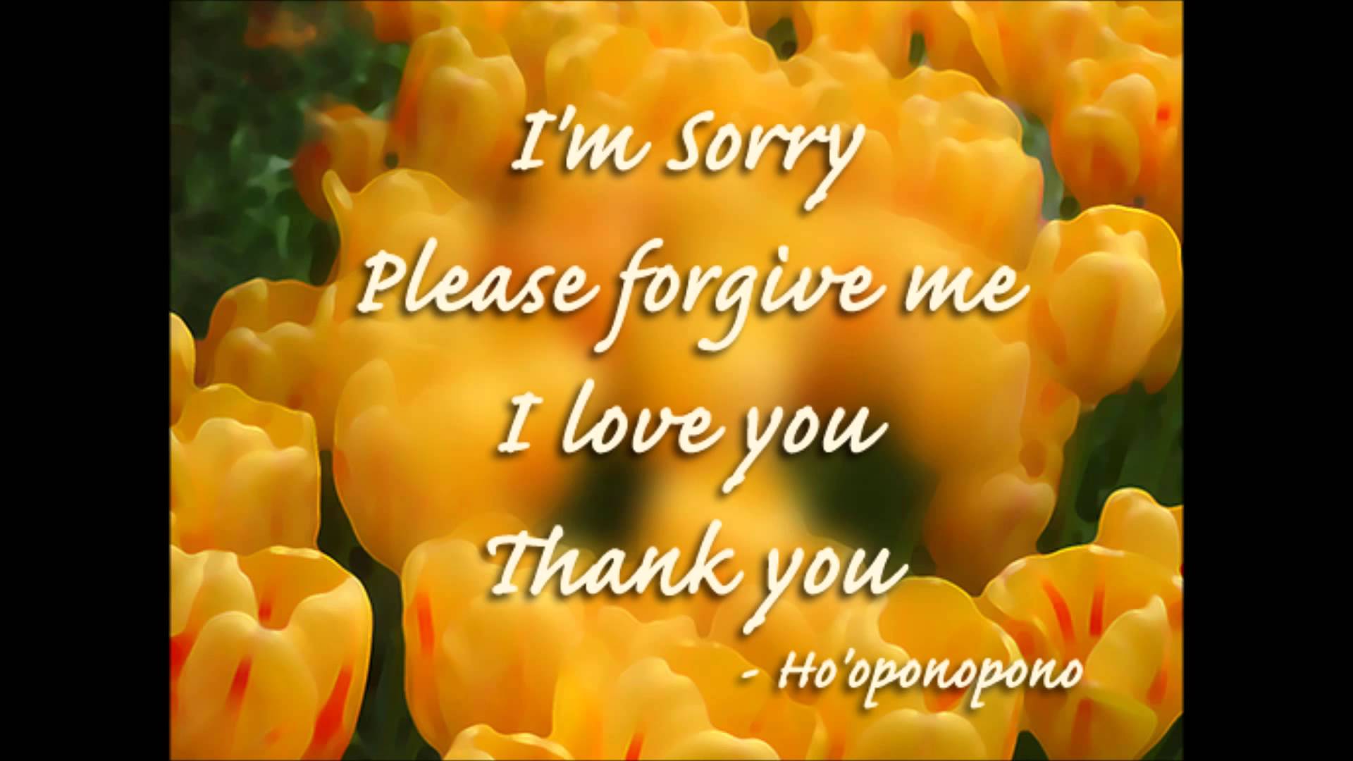 I'm Sorry Please Forgive Me I Love You Images - Please Forgive Me Quotes , HD Wallpaper & Backgrounds