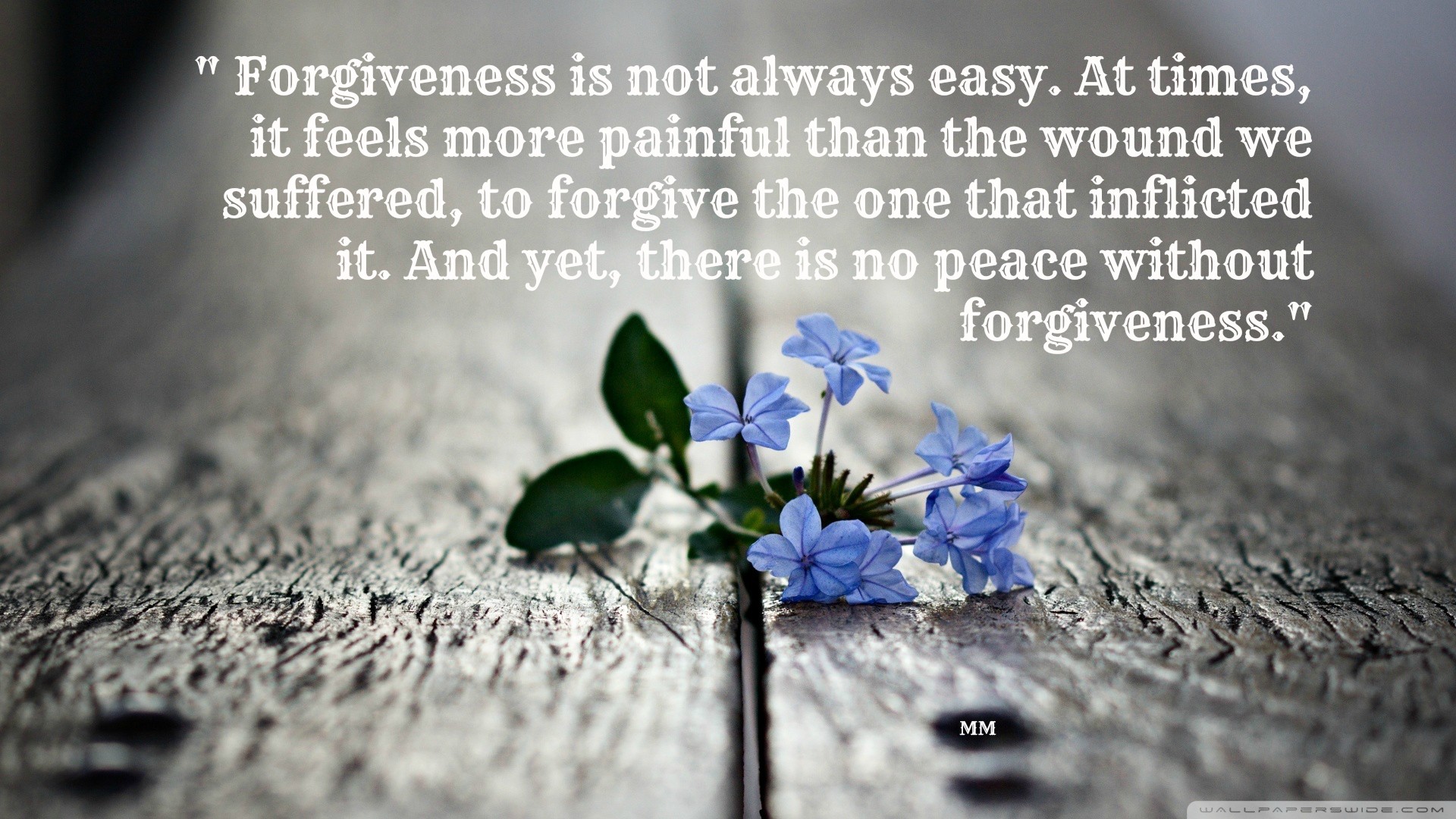Download Flowers Forgiveness Words Nature Flowers Quotes - Broken Flower , HD Wallpaper & Backgrounds