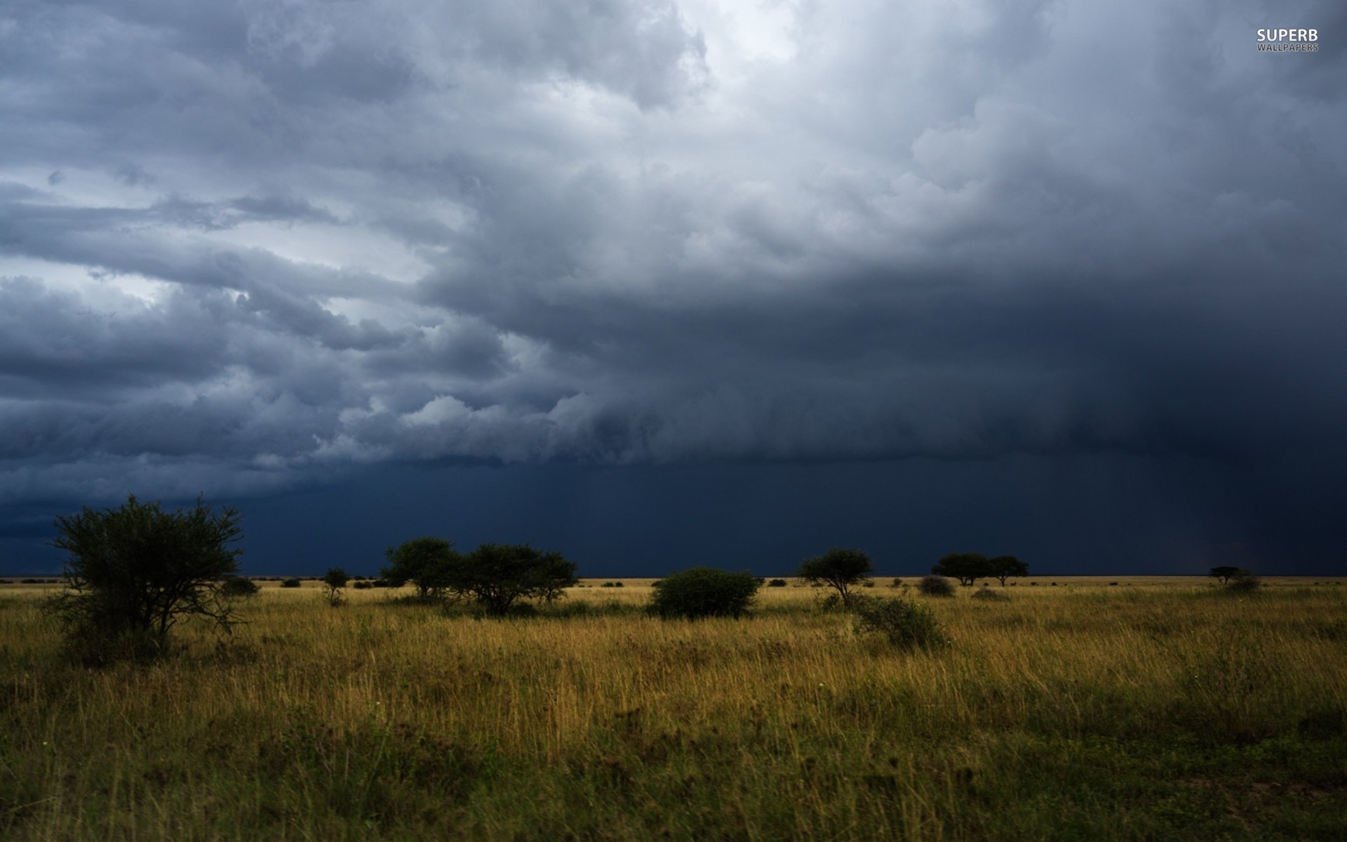 Dark Storm Clouds Trees Field Wallpapers And Stock - Storm Clouds Facebook Cover , HD Wallpaper & Backgrounds