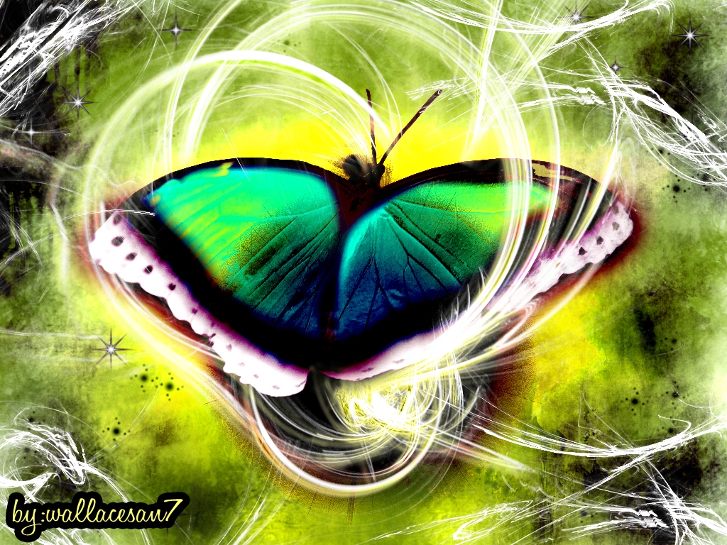 Digital Abstract Of Butterflies , HD Wallpaper & Backgrounds
