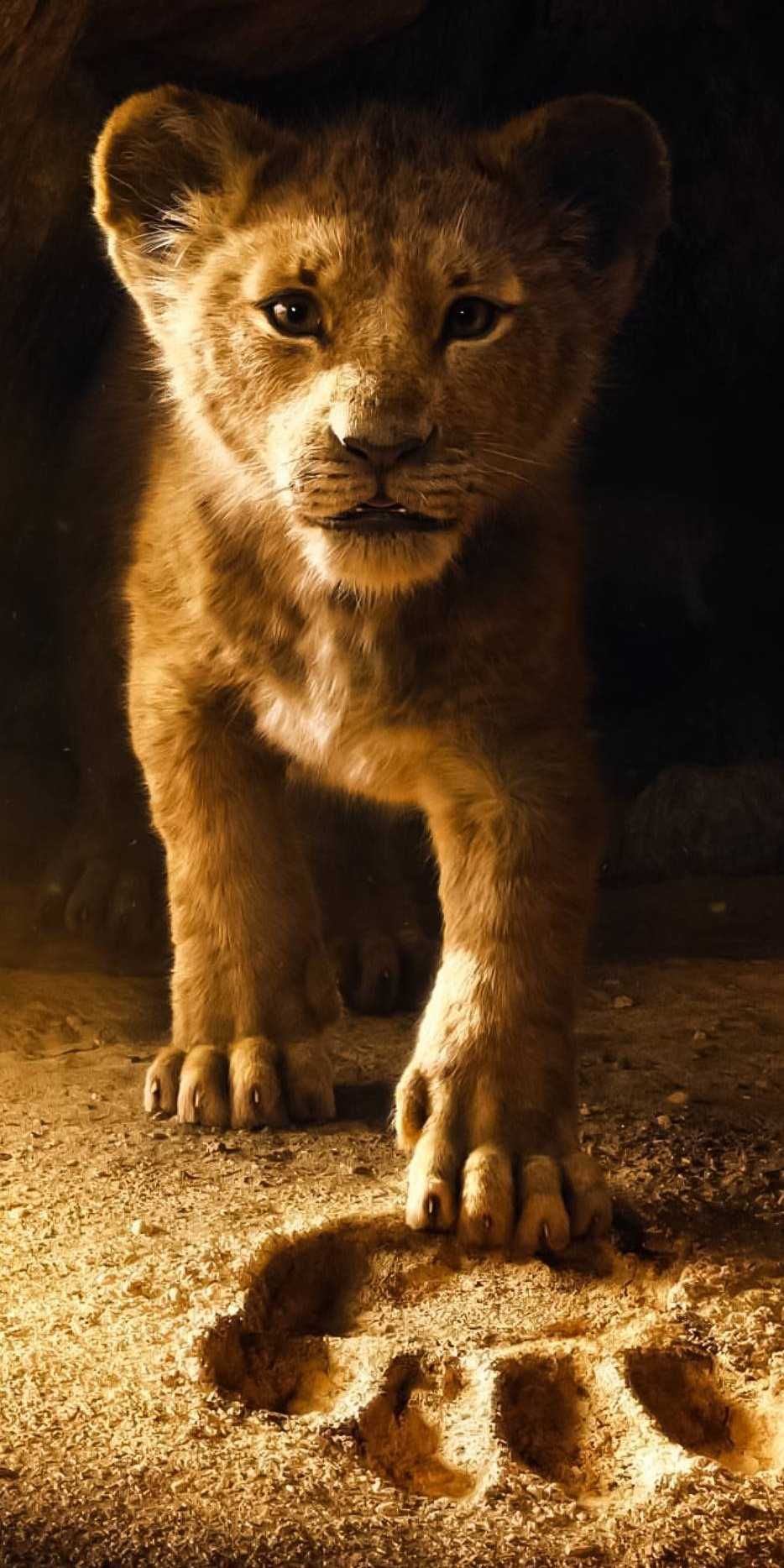 The Lion King Iphone Wallpaper - Lion King 2019 Wallpaper Iphone , HD Wallpaper & Backgrounds