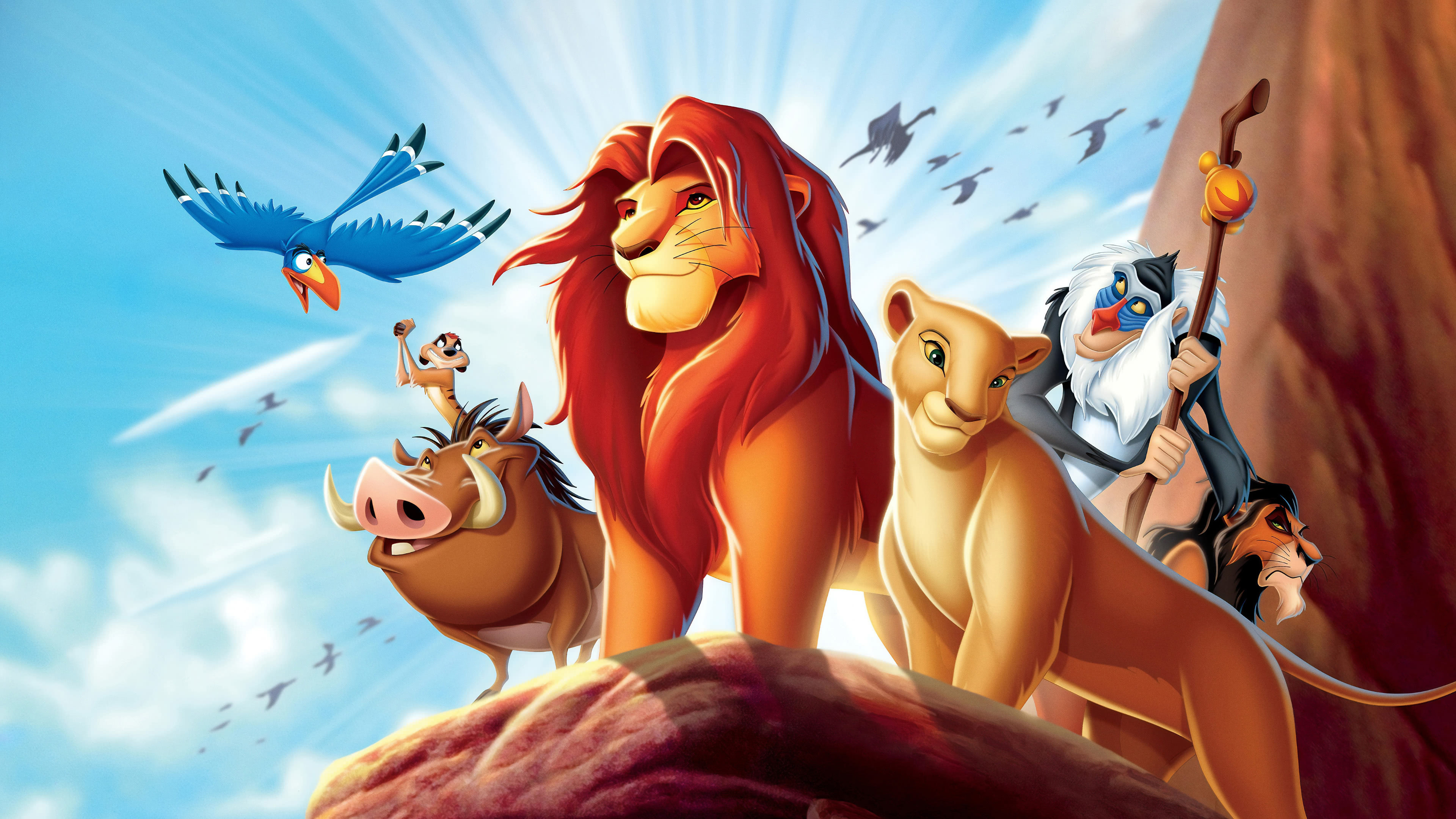 Categories - Disney's Lion King , HD Wallpaper & Backgrounds