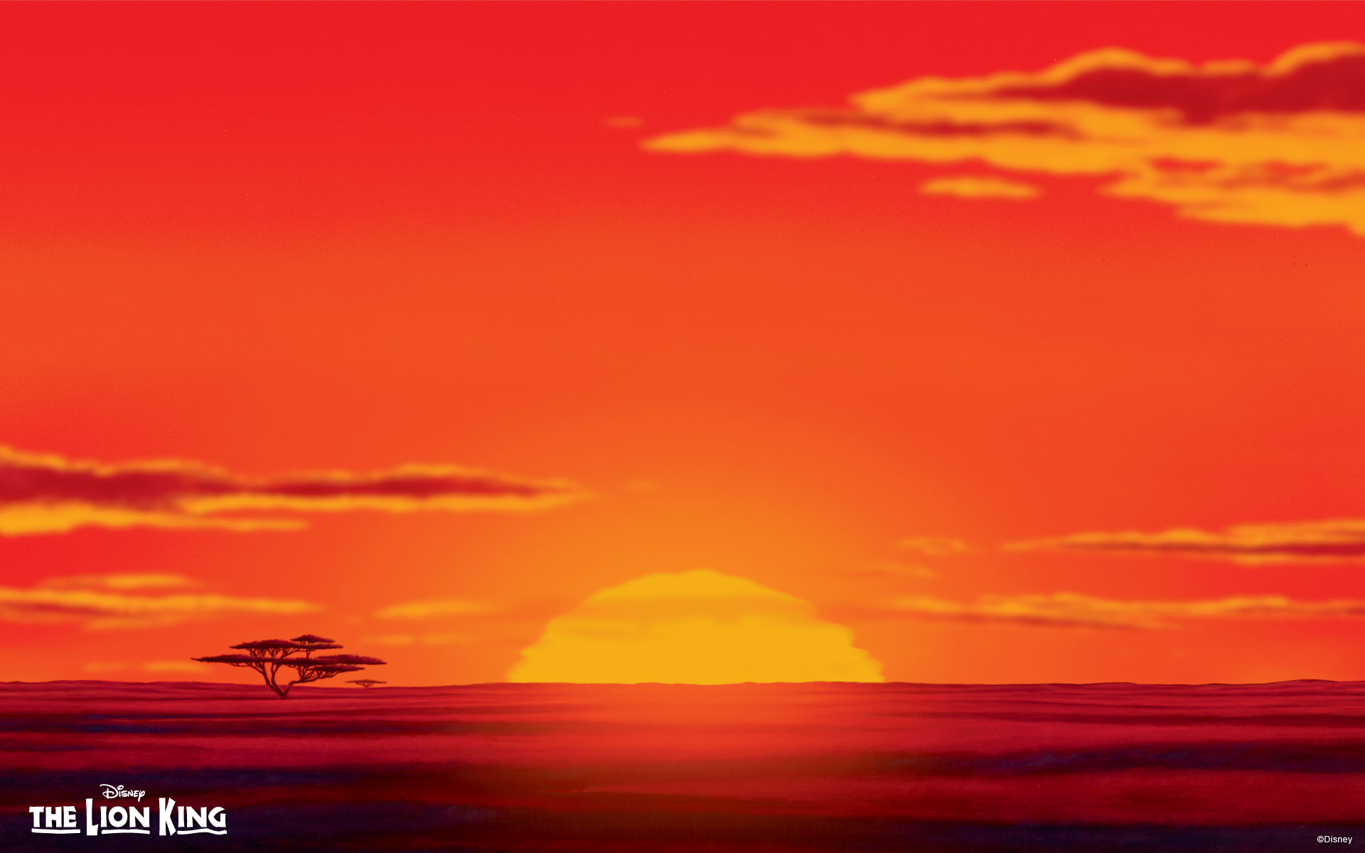 The Lion King Wallpaper - Lion King Background Hd , HD Wallpaper & Backgrounds